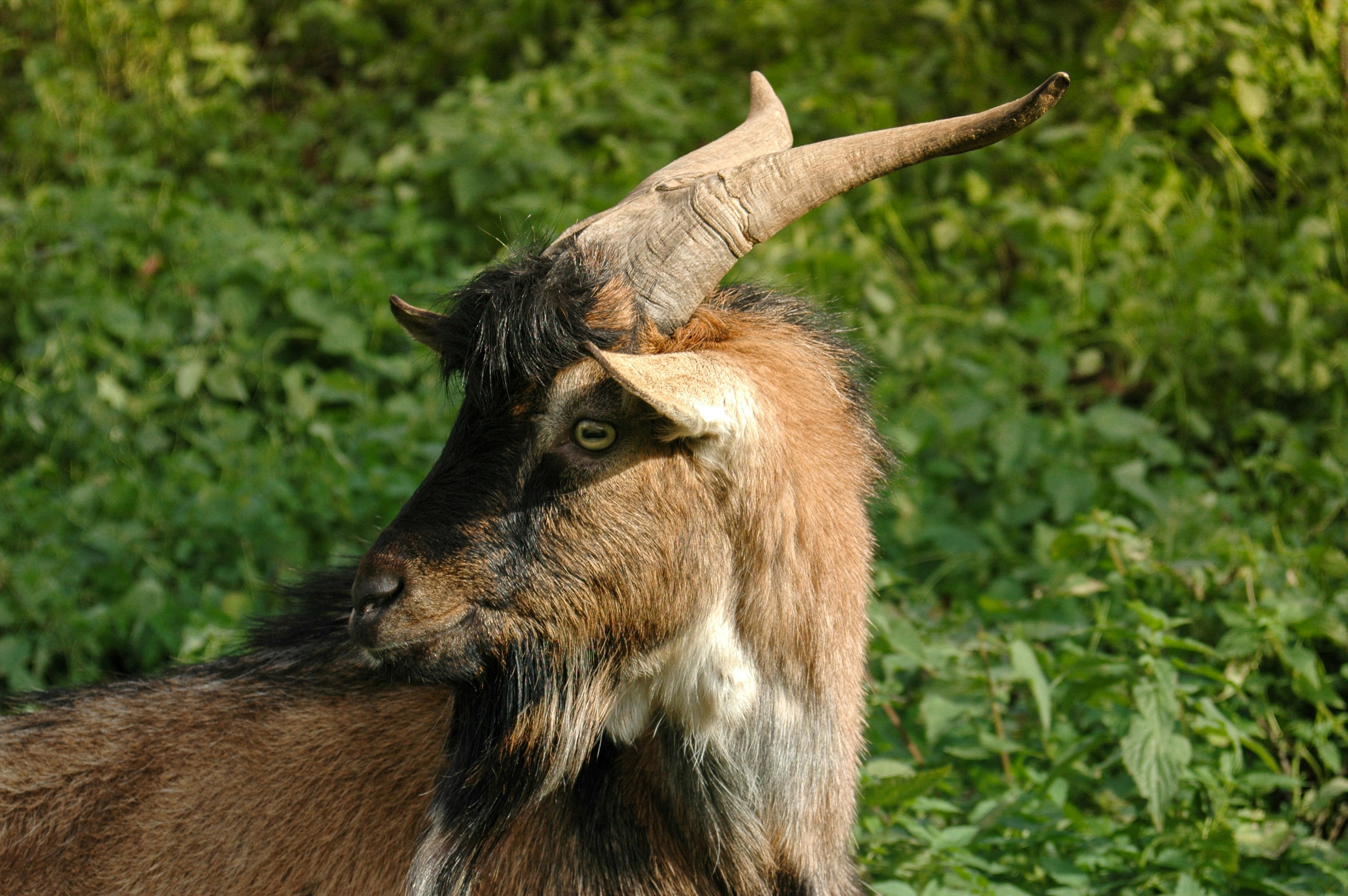 MarkHoor: Your Ultimate Guide