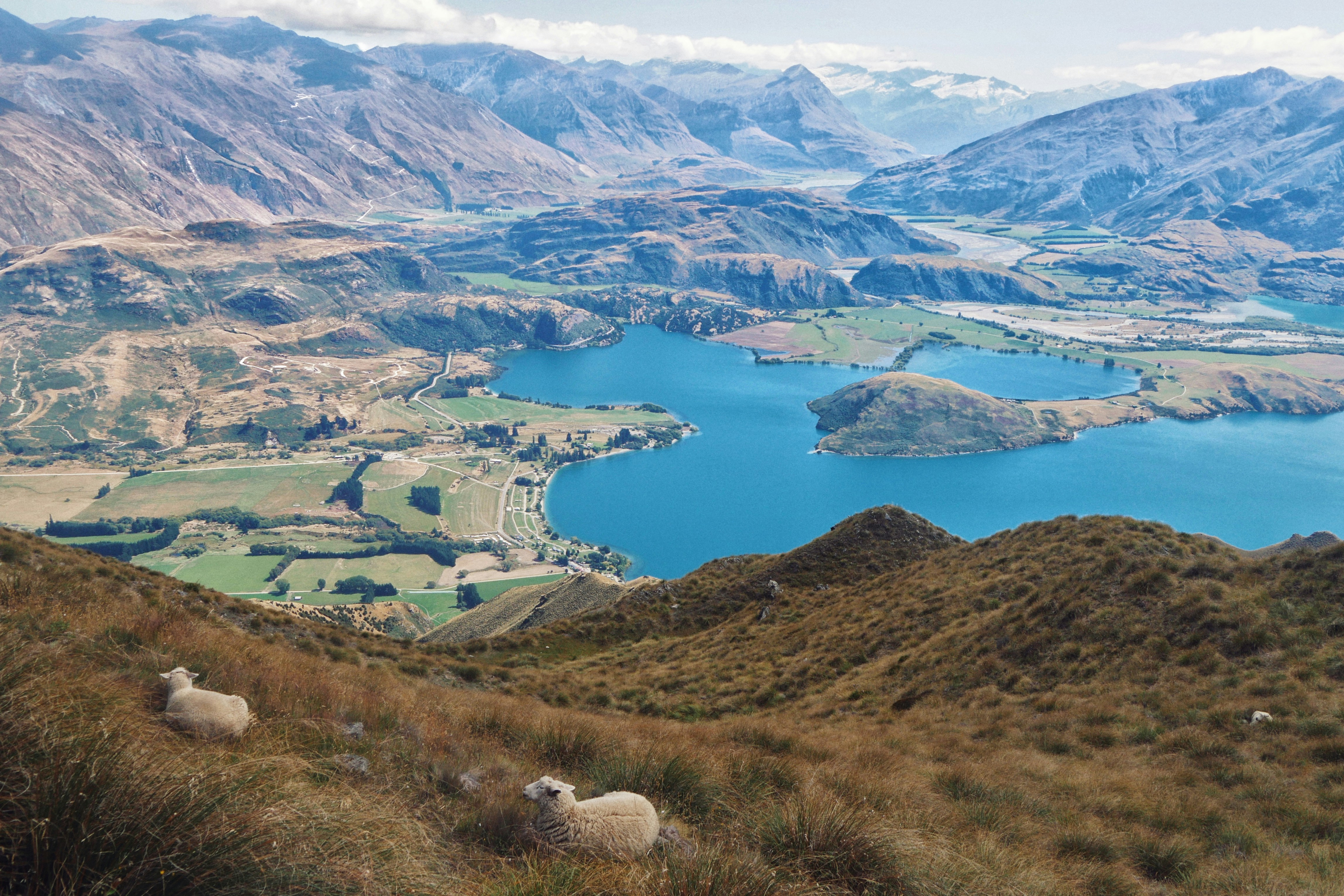 green and brown grass field near lake and mountains during daytime