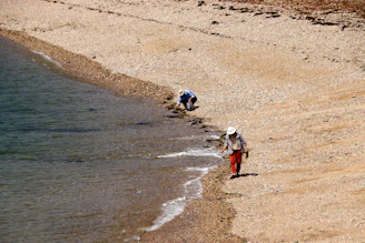 2 children walking on beach during daytime