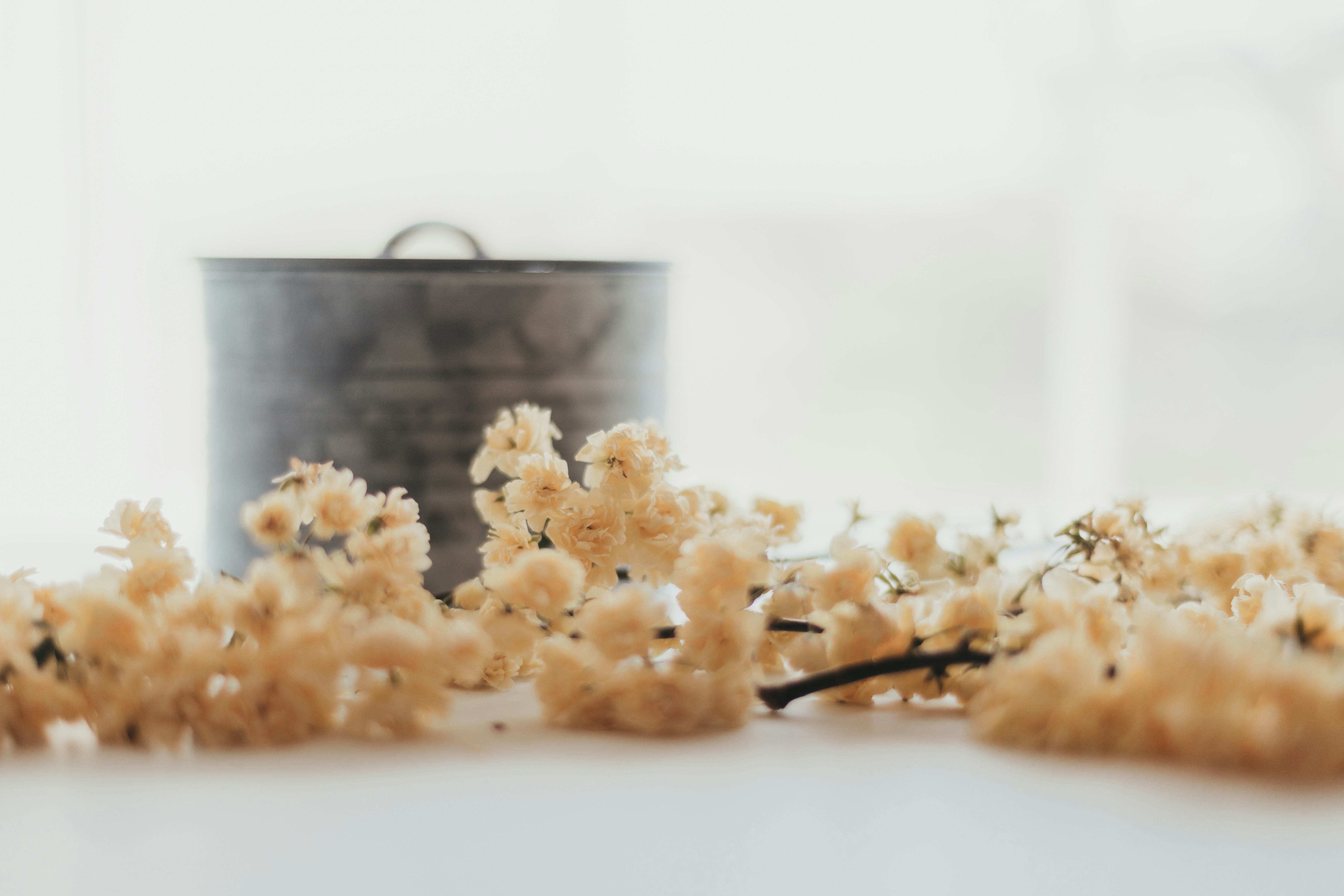brown food on white table, 