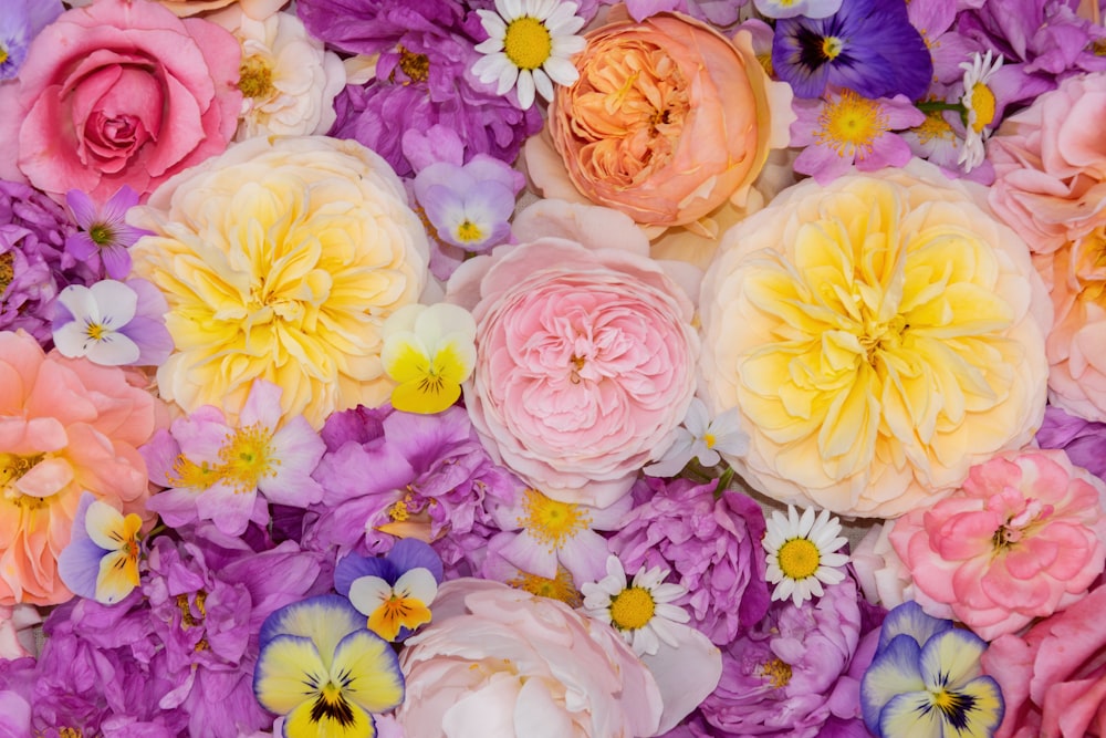 white and purple flower petals