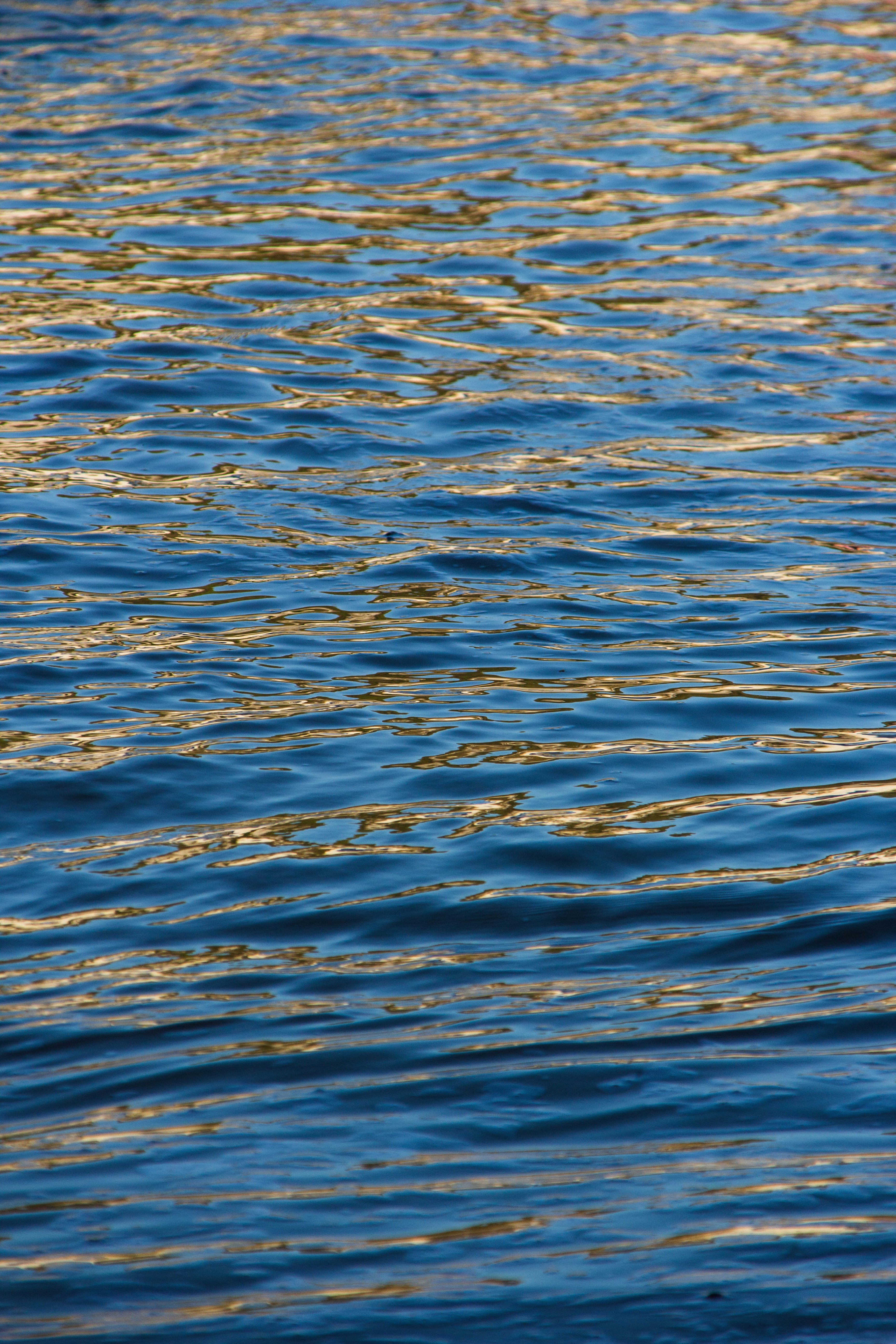 Photo by nao_takabayashi