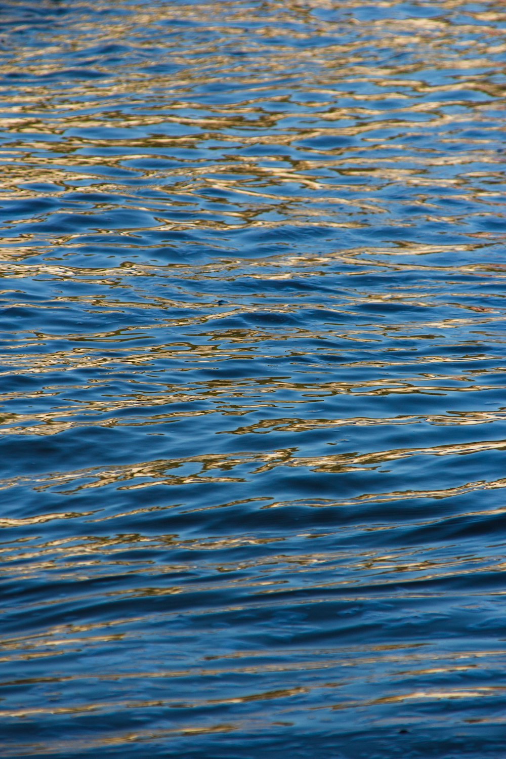 blue body of water during daytime