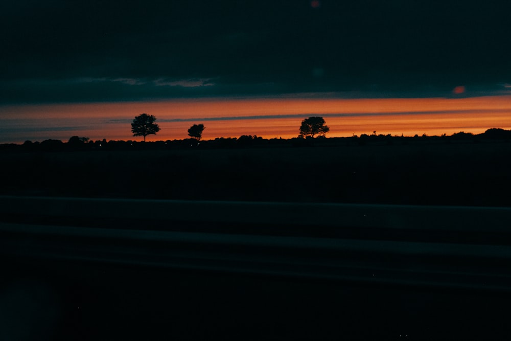 silhouette of trees during sunset