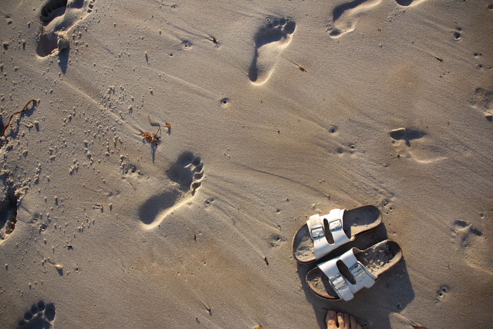 personnes marchant sur la plage pendant la journée