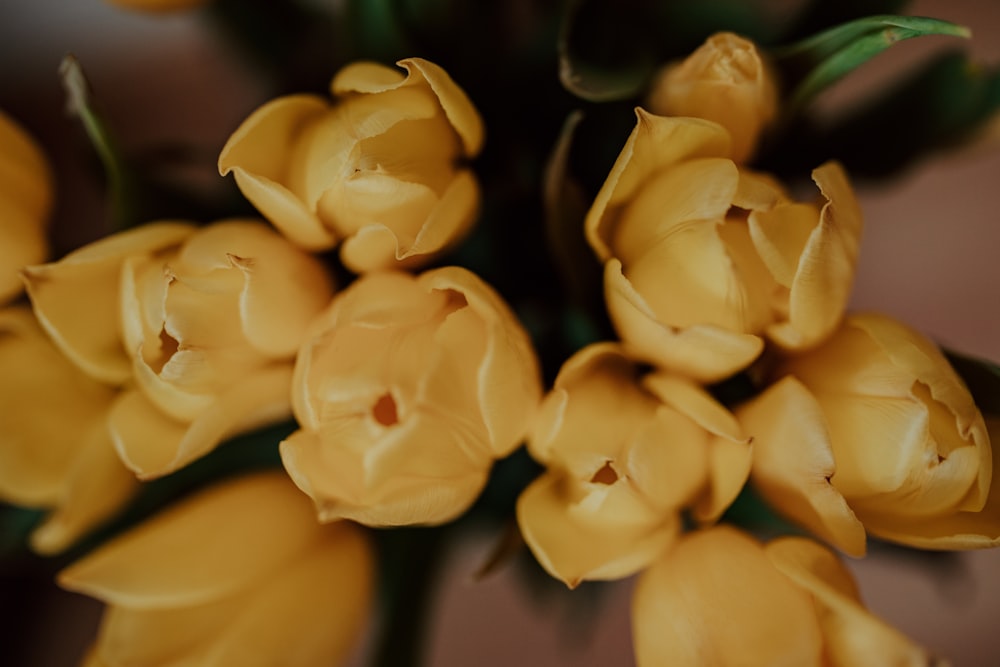 white flowers in tilt shift lens