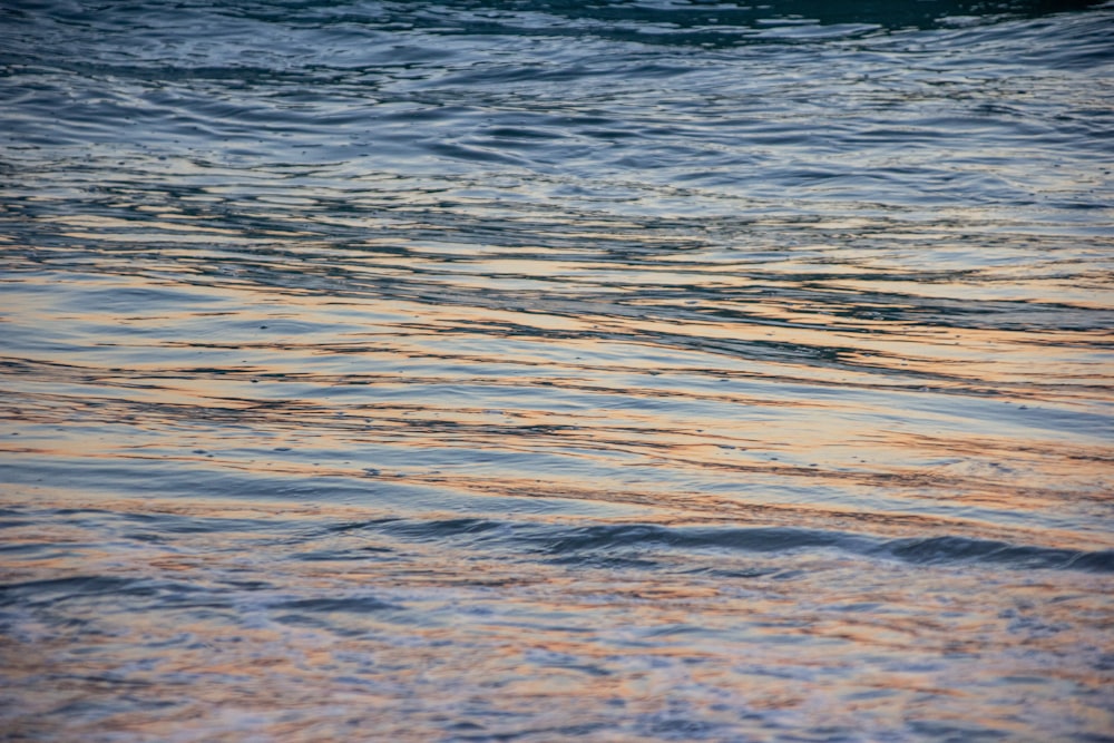 blue sea water during daytime