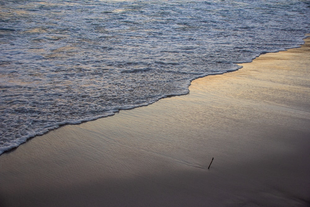 birds eye view of beach