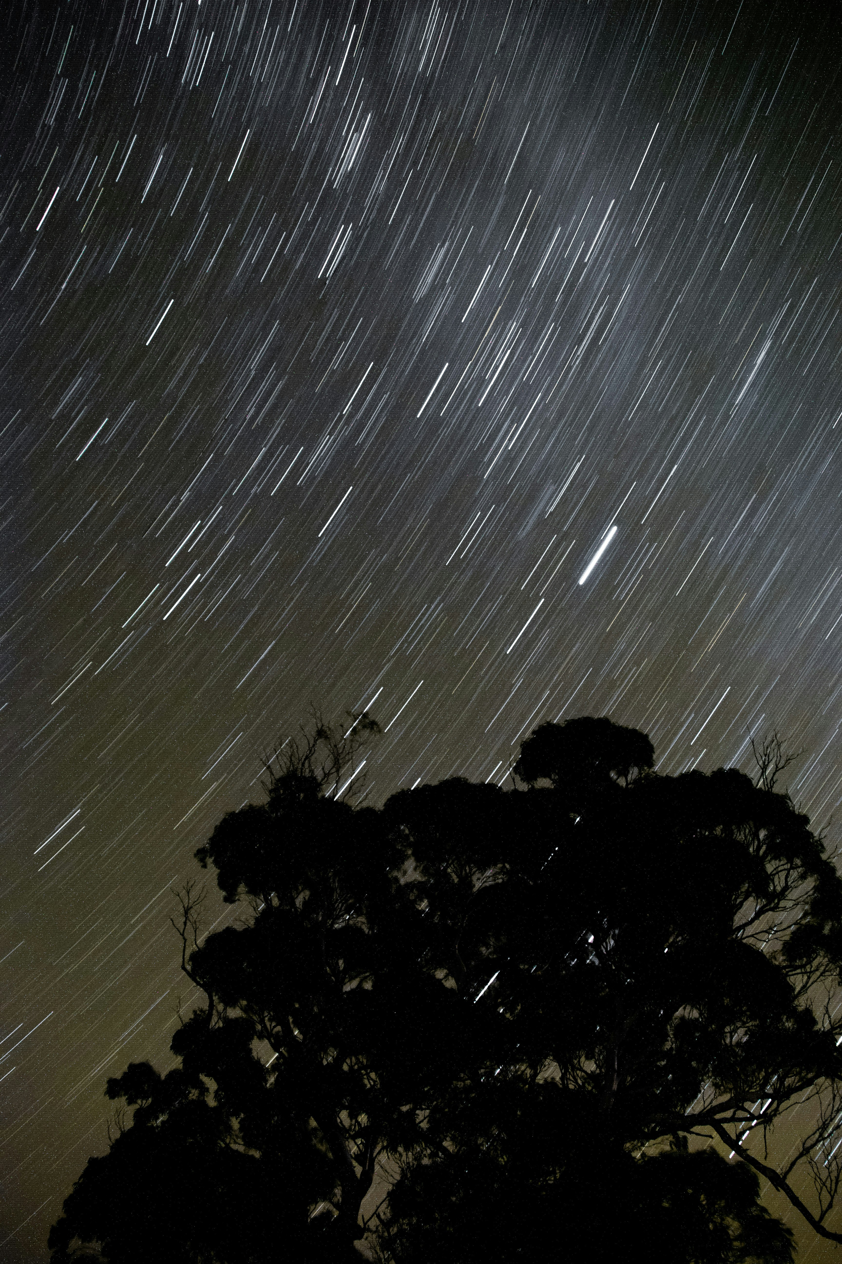 Sternzeichen Skorpion 2023