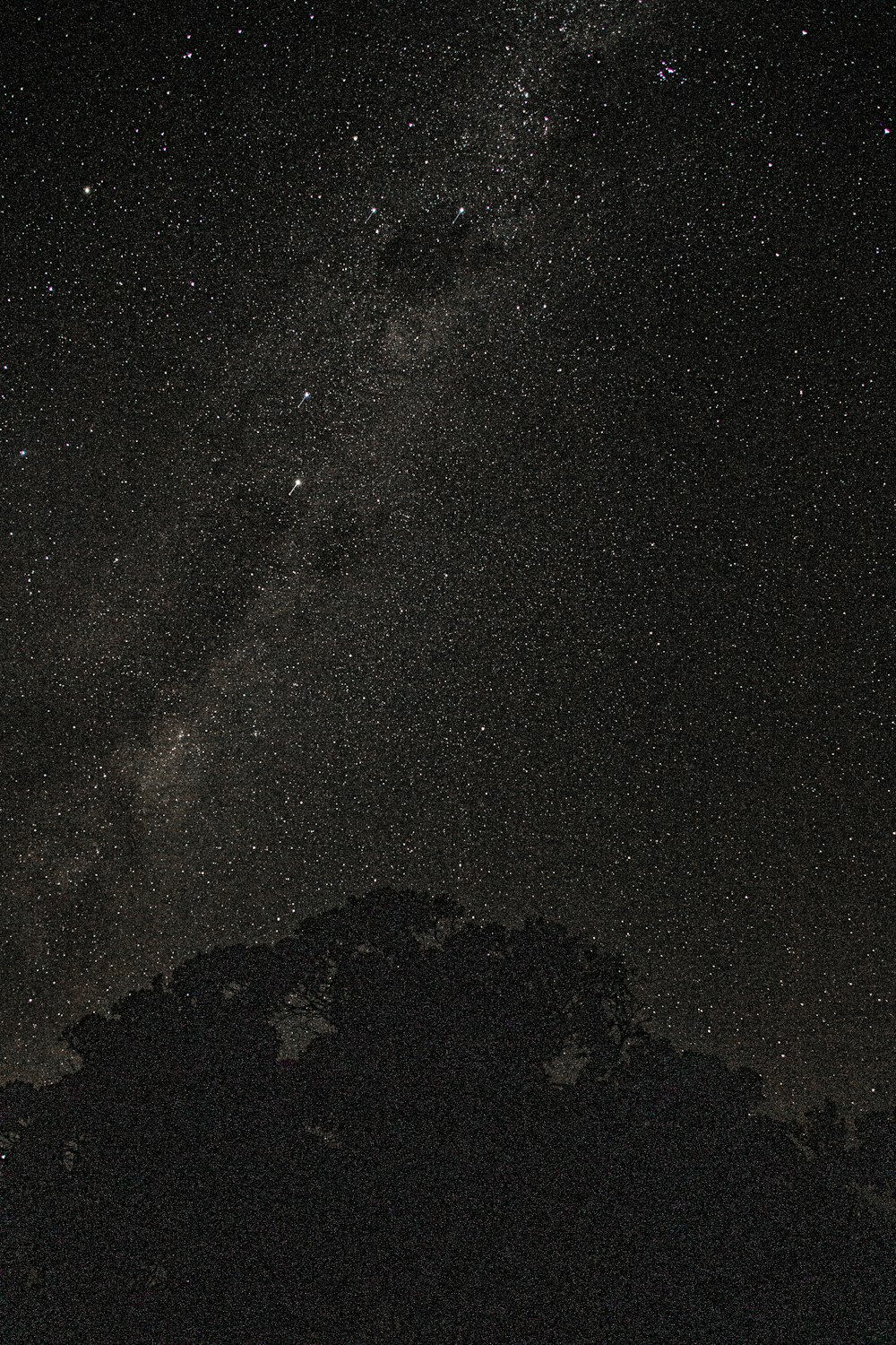 black and white starry night