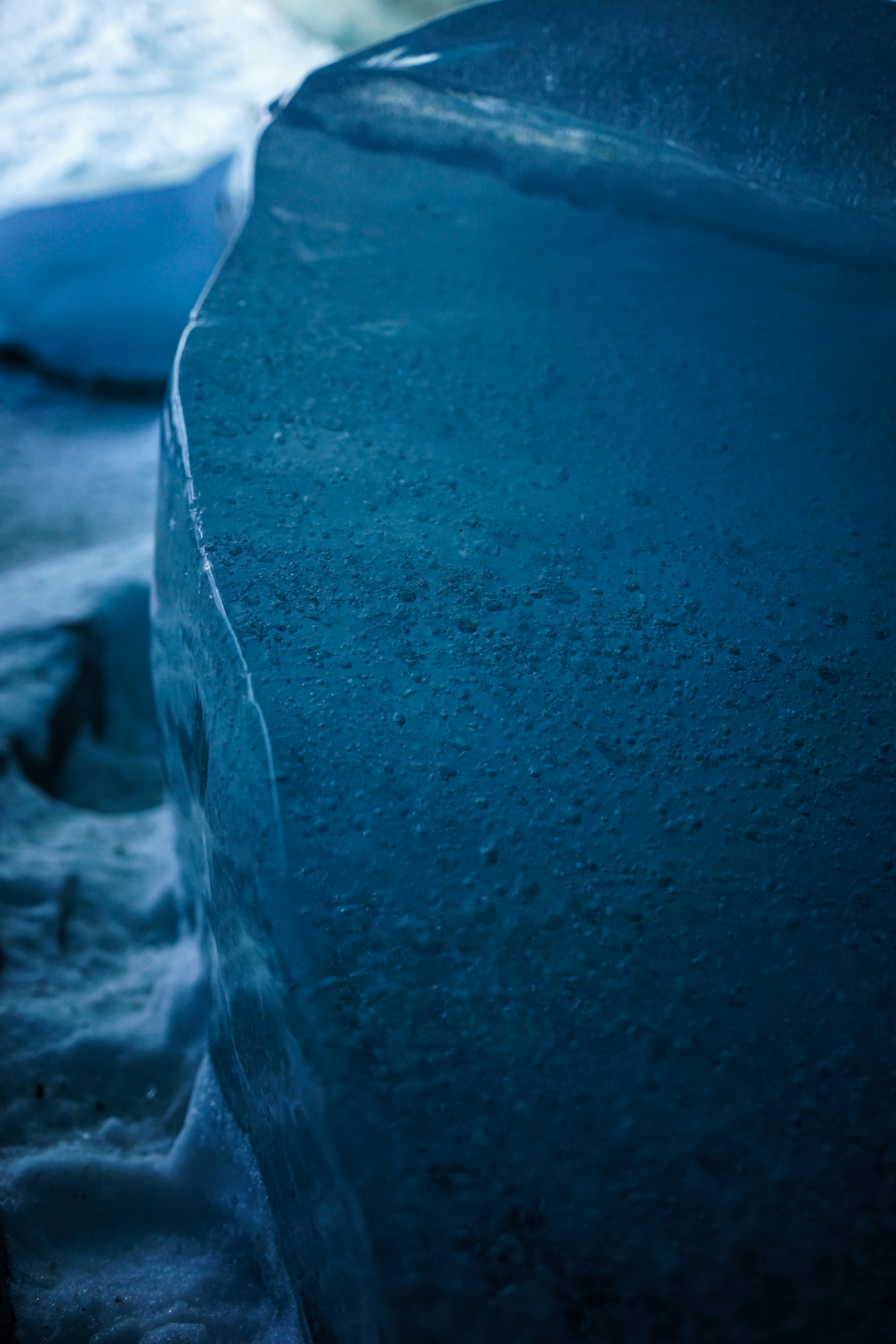 Photo by damienschnorhk