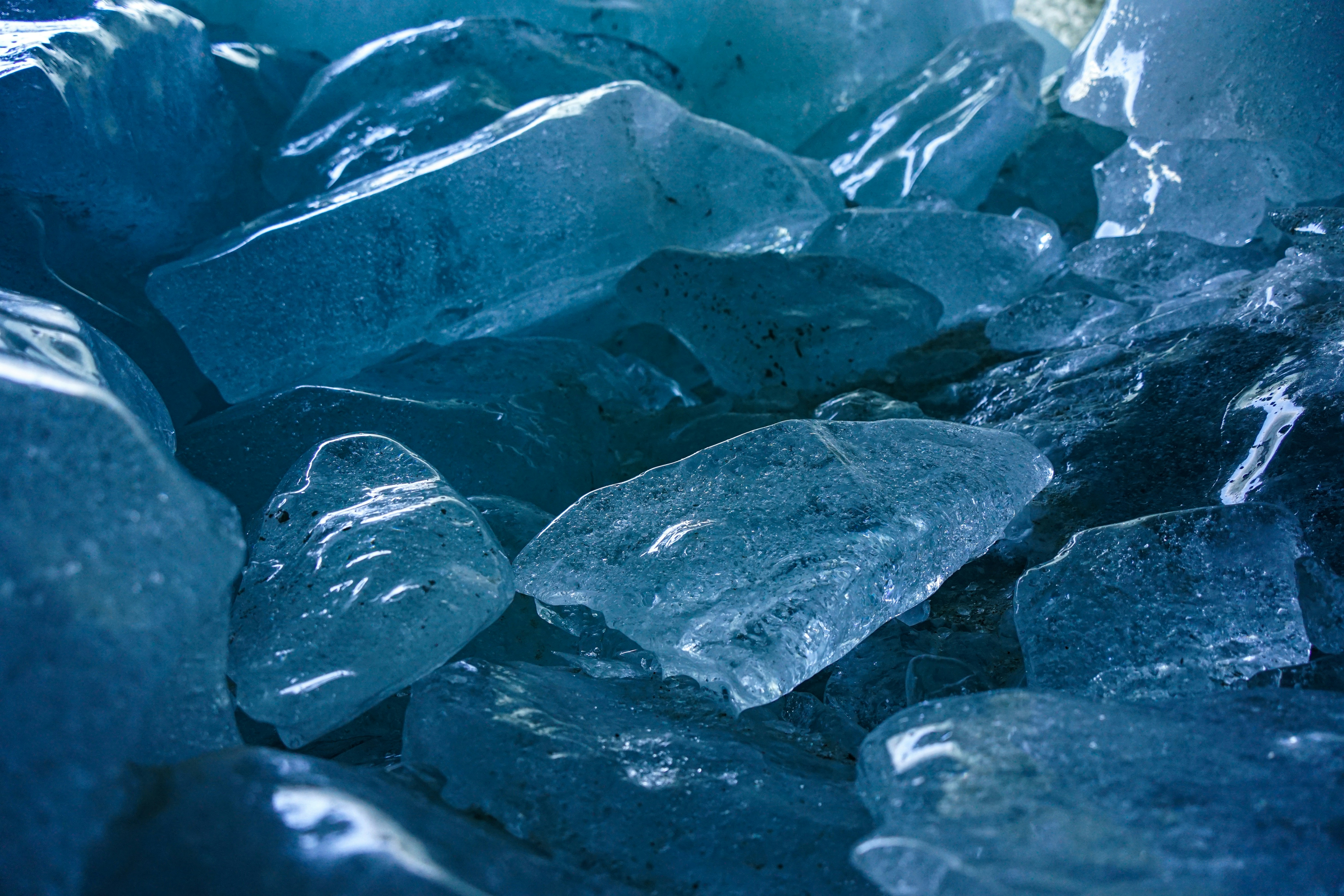 Photo by damienschnorhk