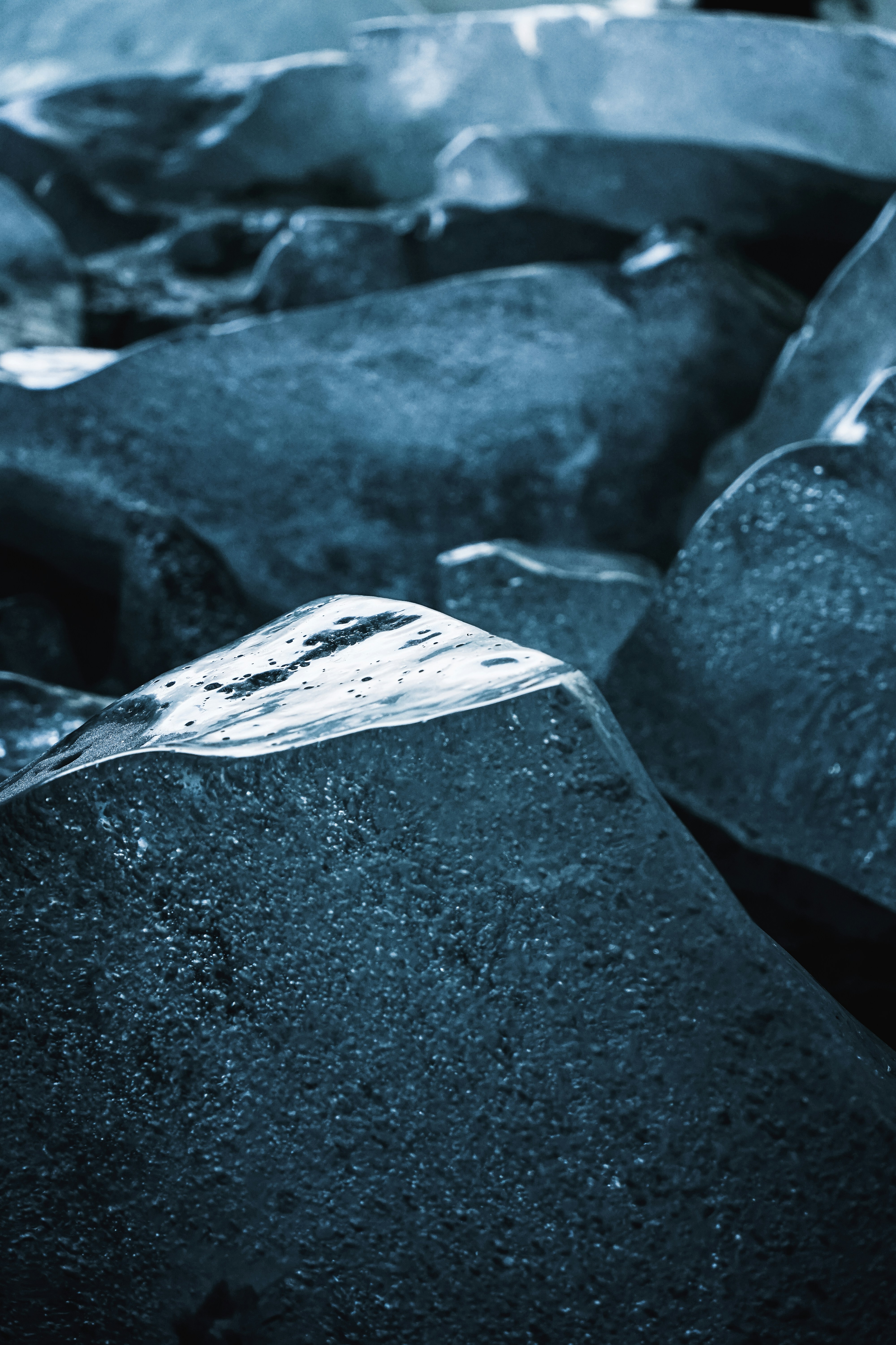 Photo by damienschnorhk