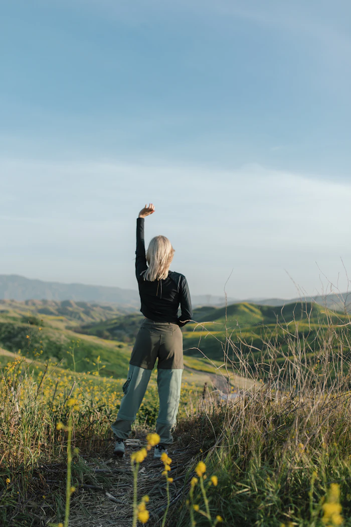 Traveller on green hills