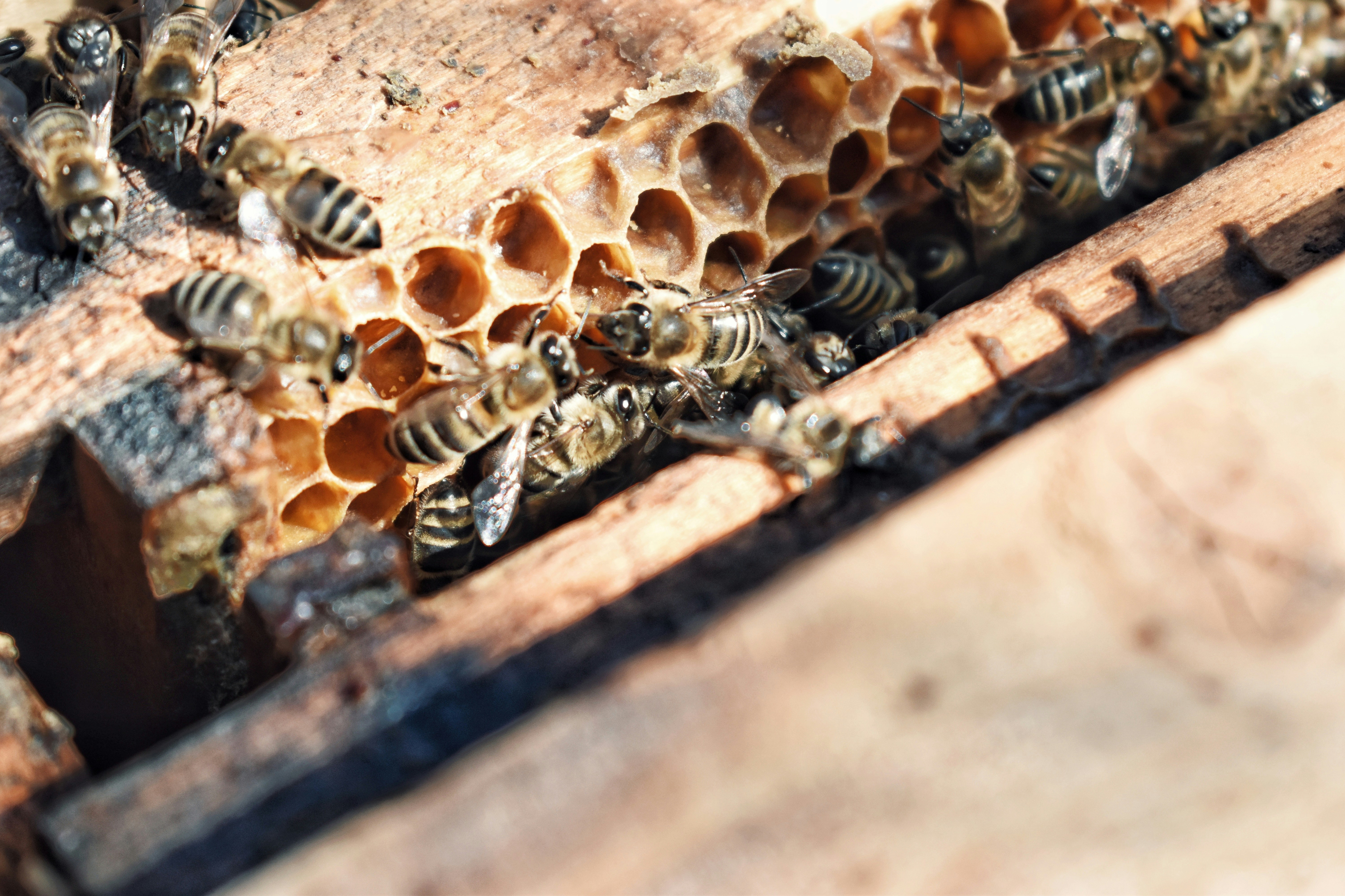 Photo by bianncapatrascu