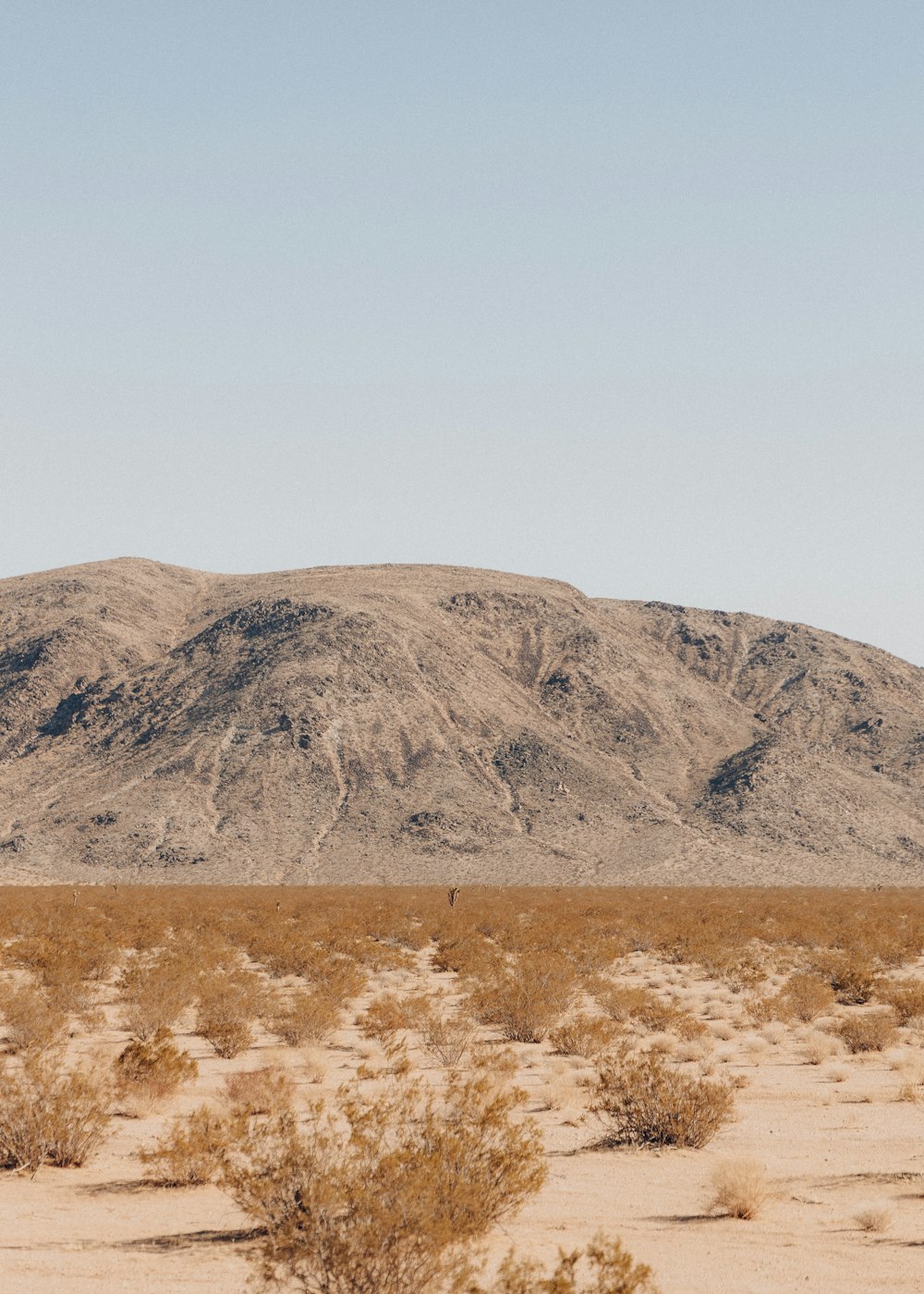 brown mountain under white sky during daytime