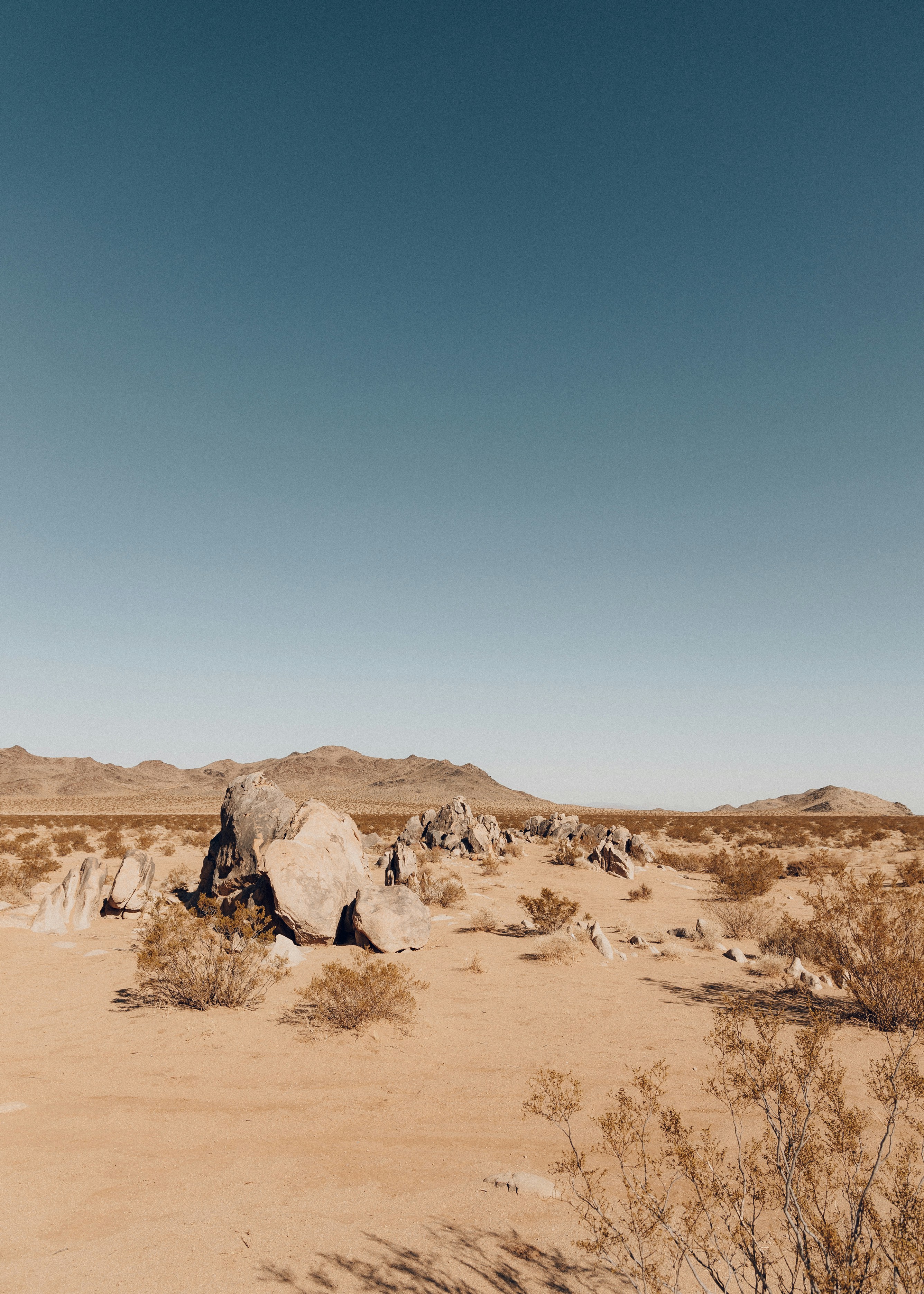 Photo by kevin_turcios