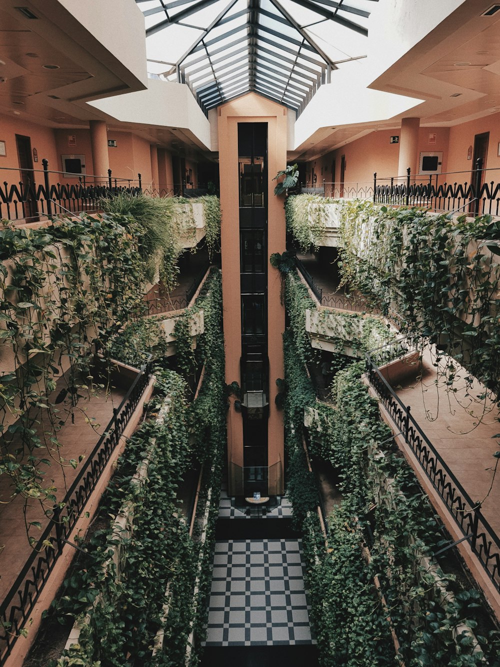 green plants on brown concrete building