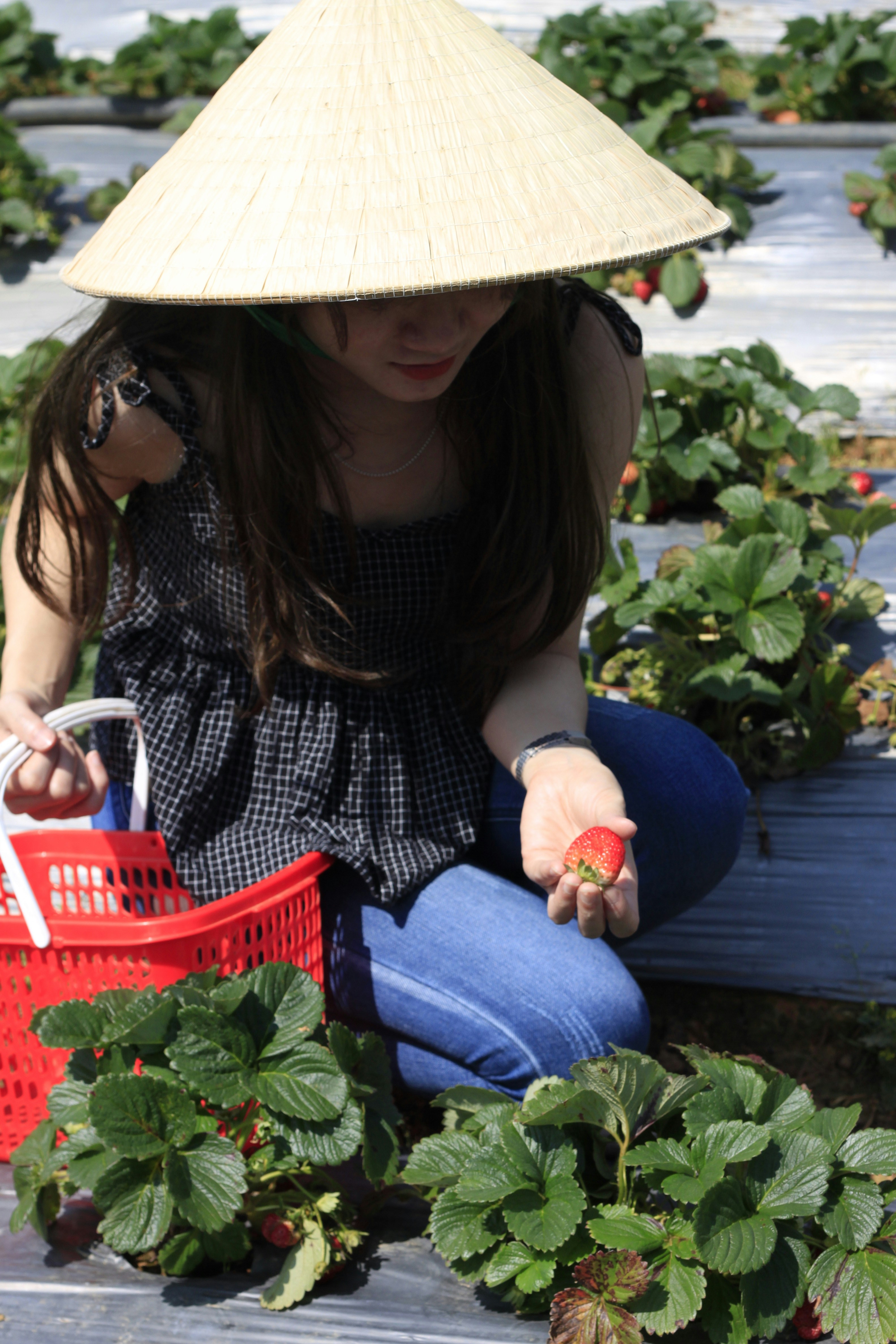 Photo by jtrinh_artwork