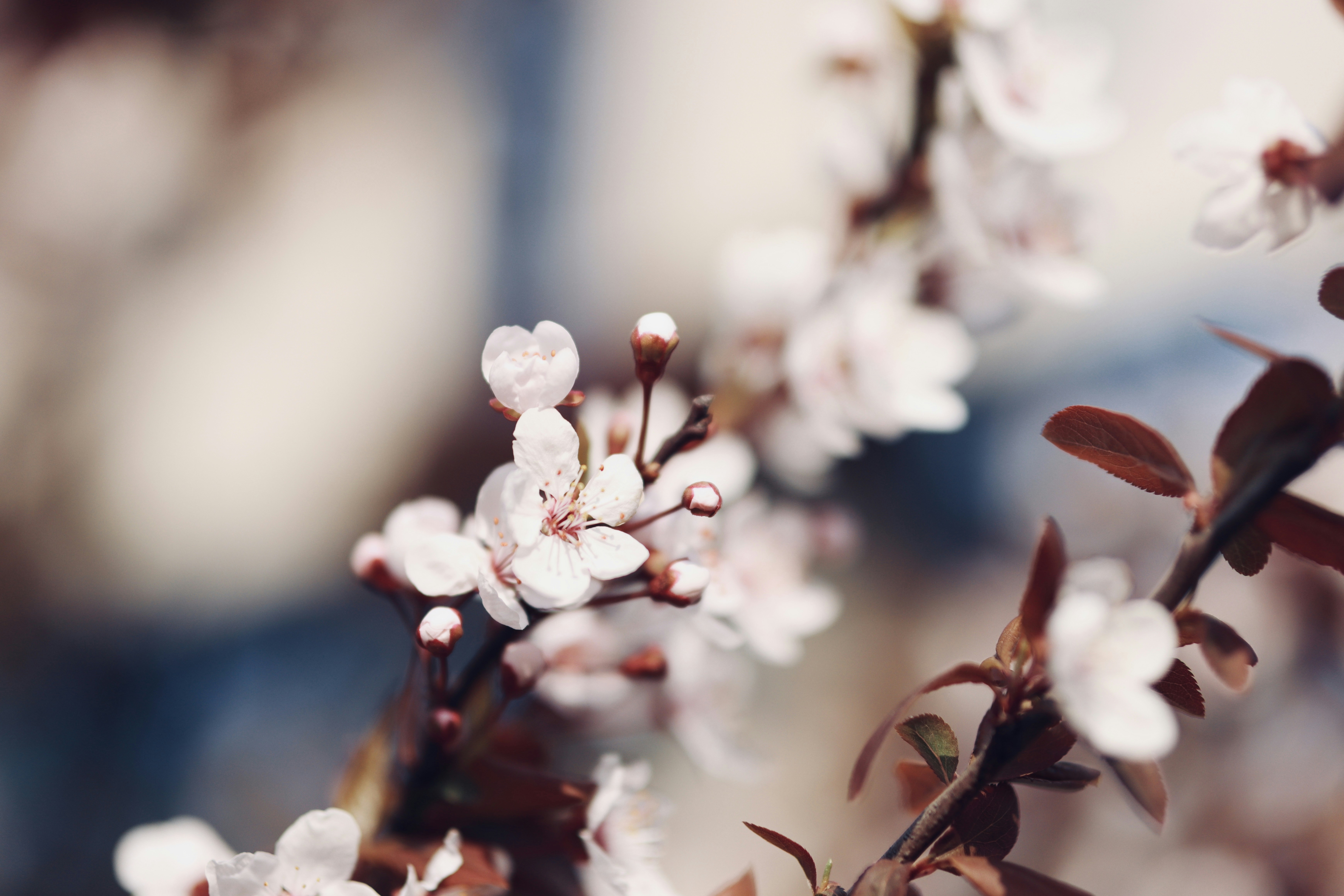 Photo by juliuscarmine