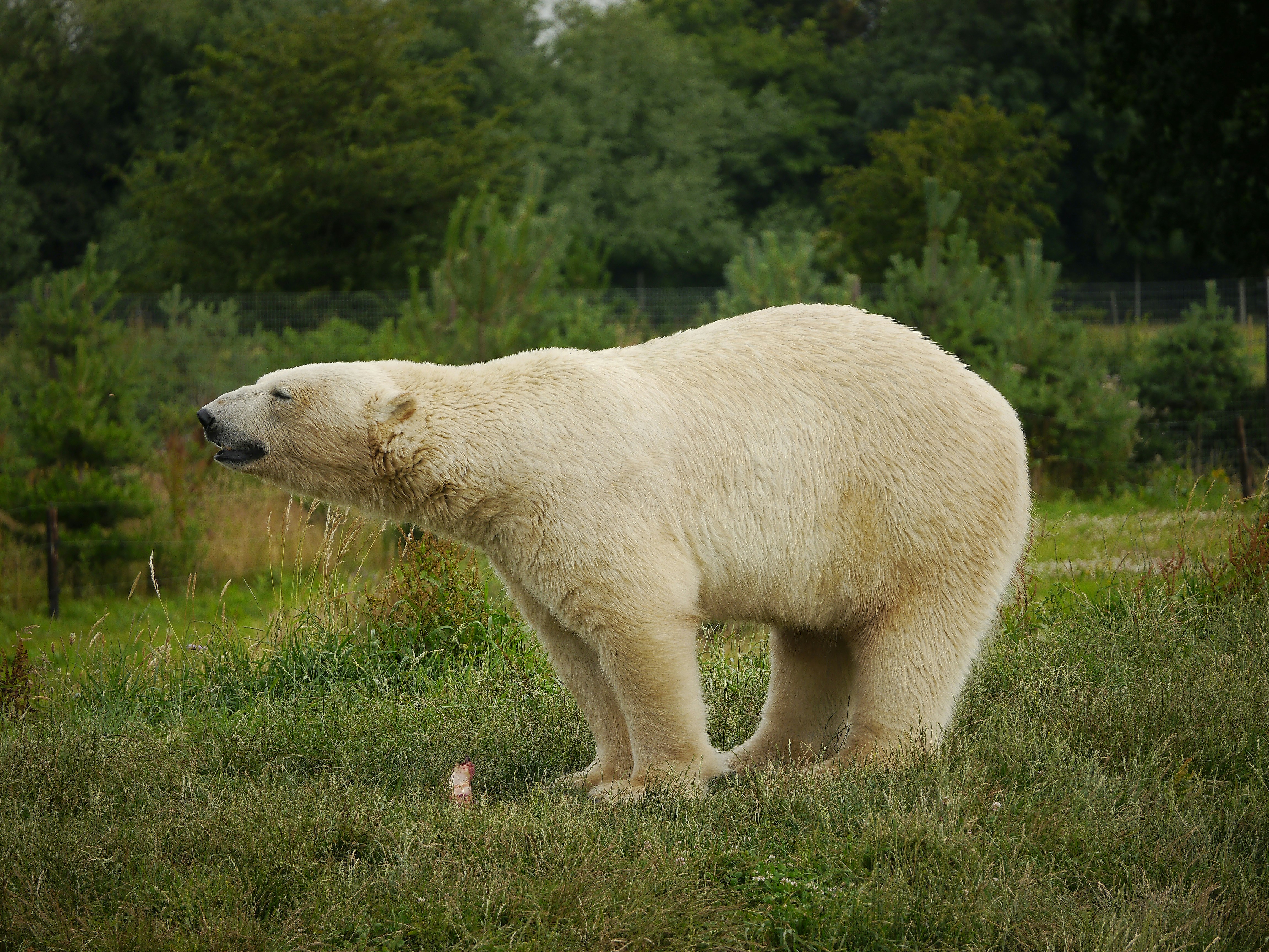 The 3 most sustainable hotels in Doncaster