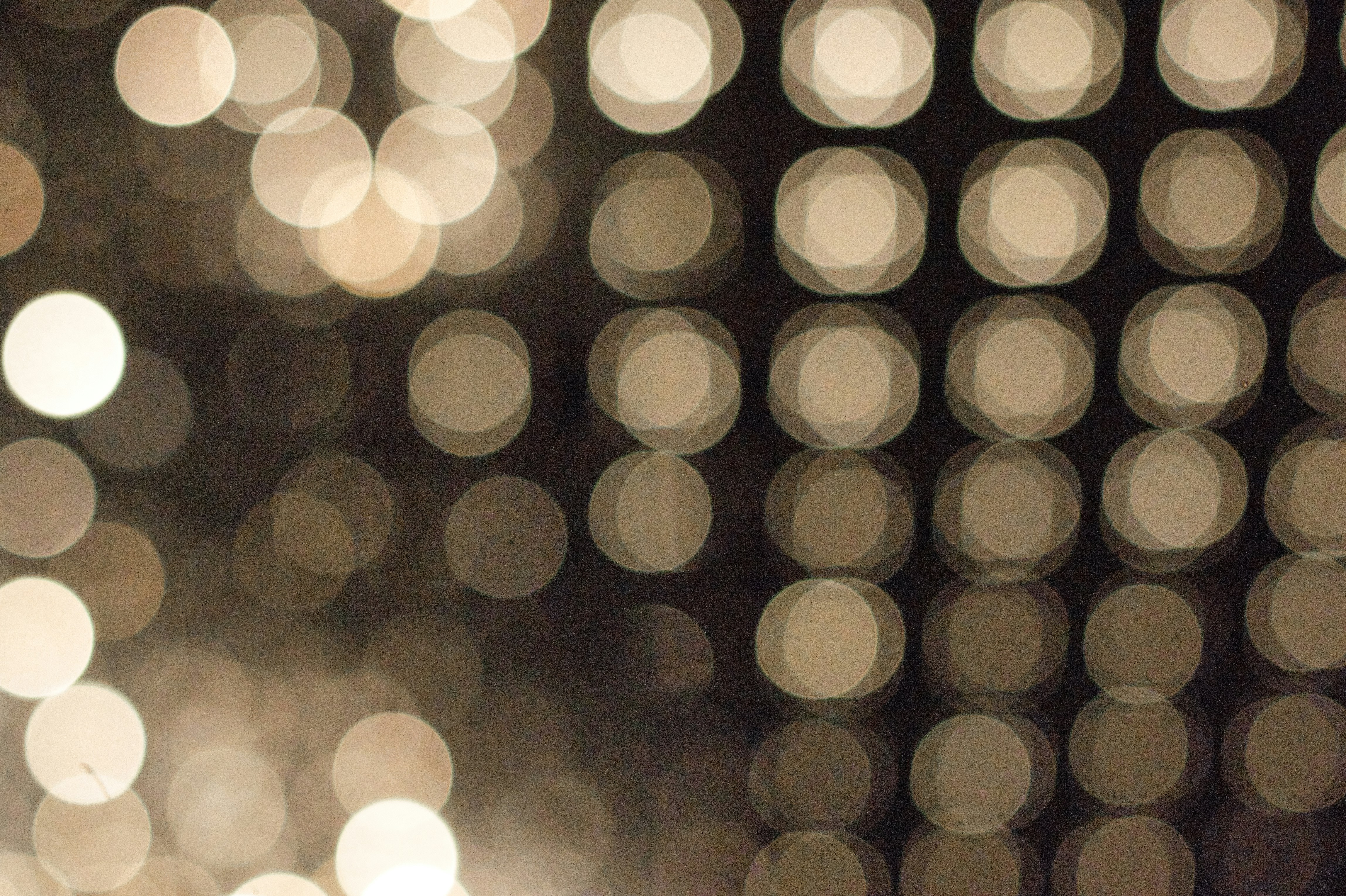 Photo by thomaskinto