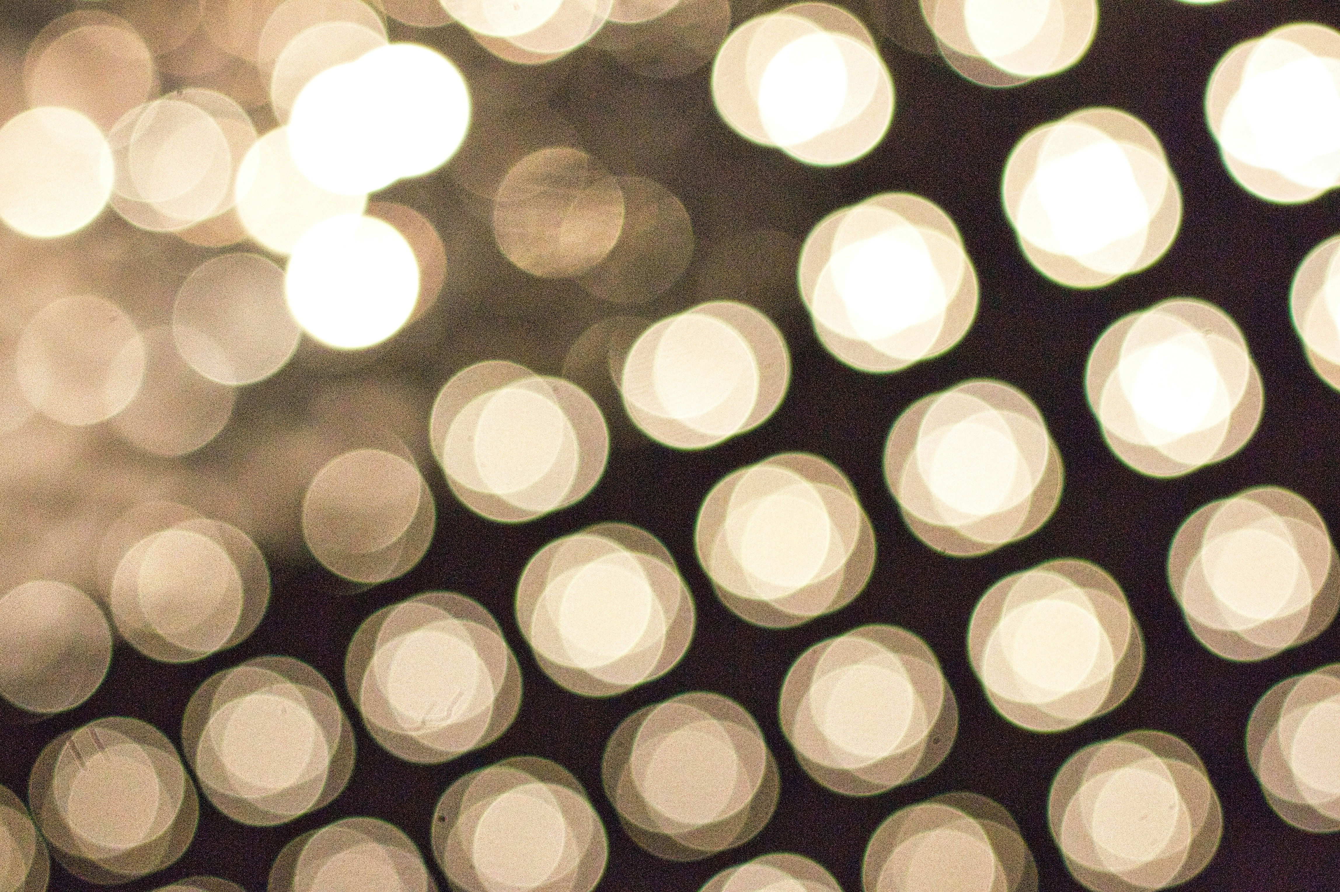 Photo by thomaskinto