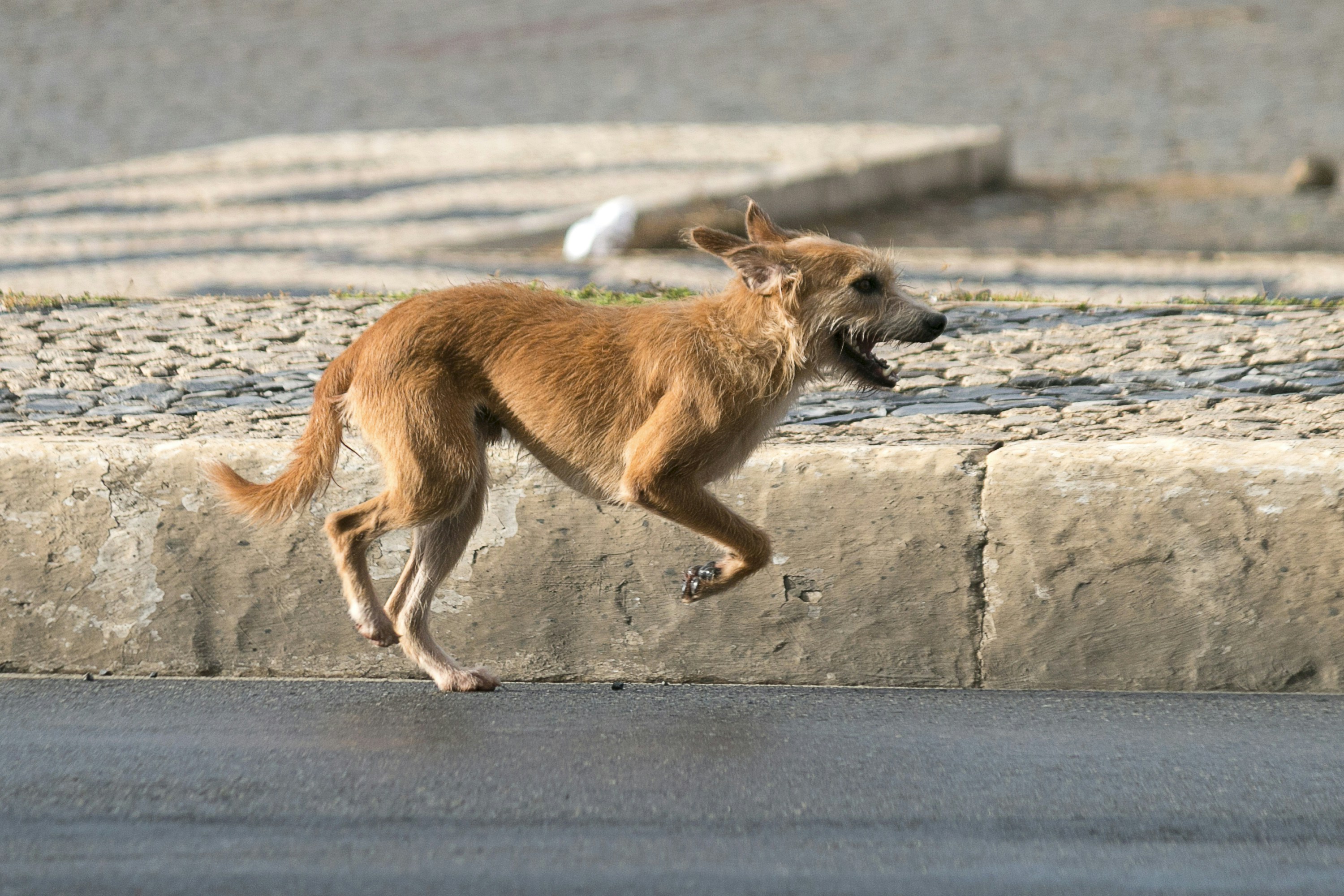 Photo by manika_trevisan