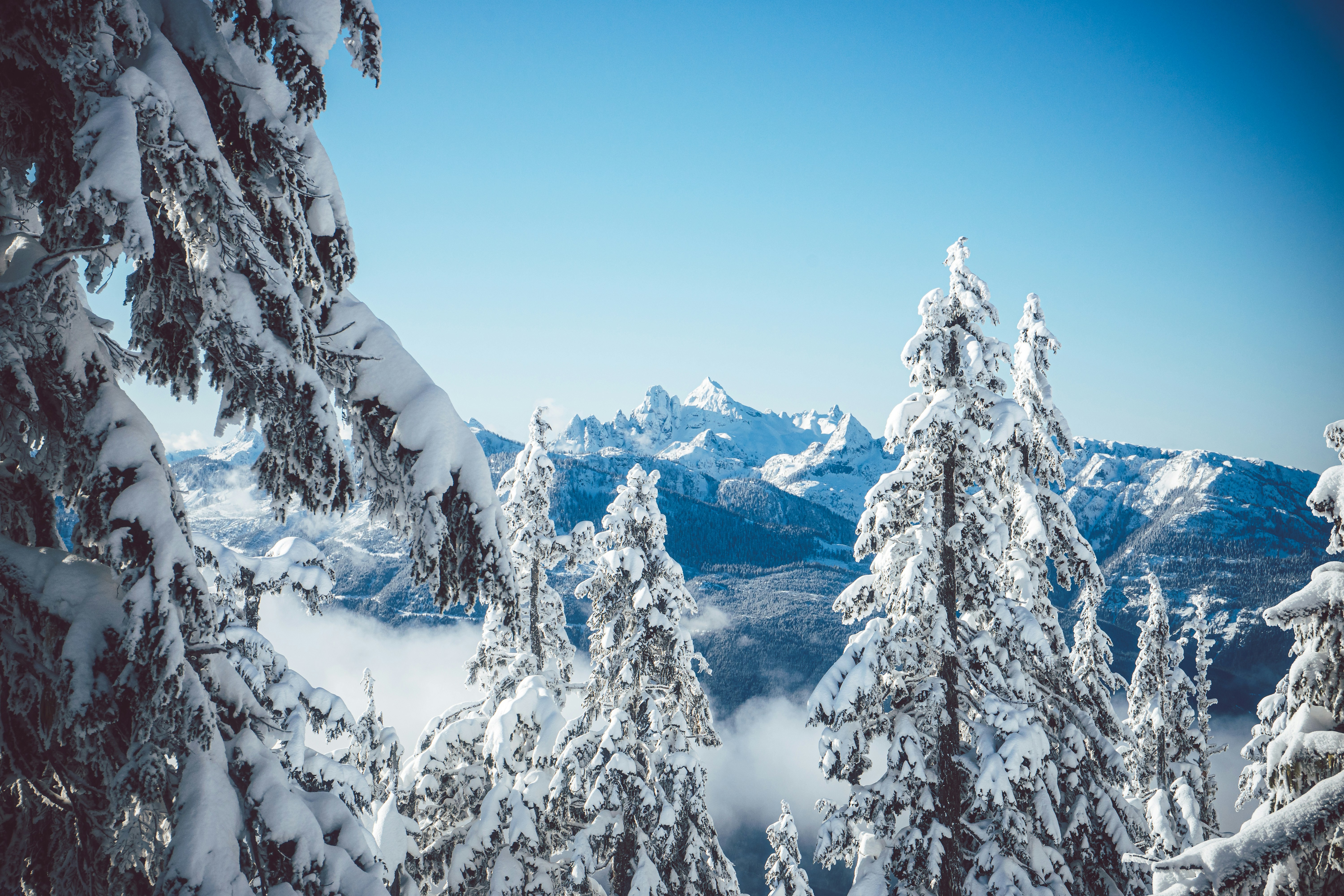 Photo by benjaminnsmith