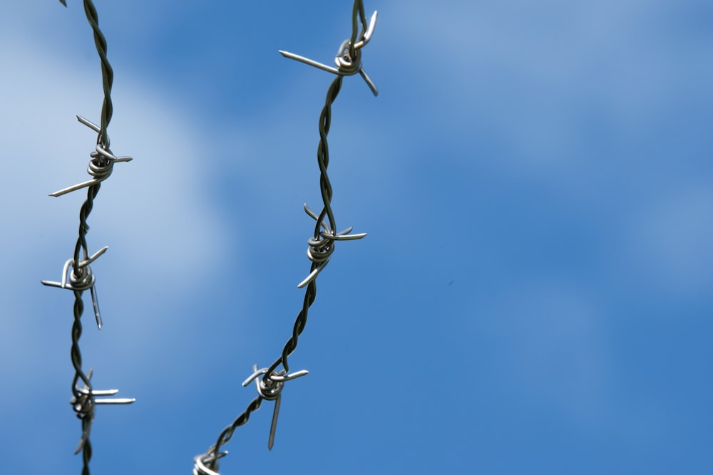 gray barbwire in close up photography