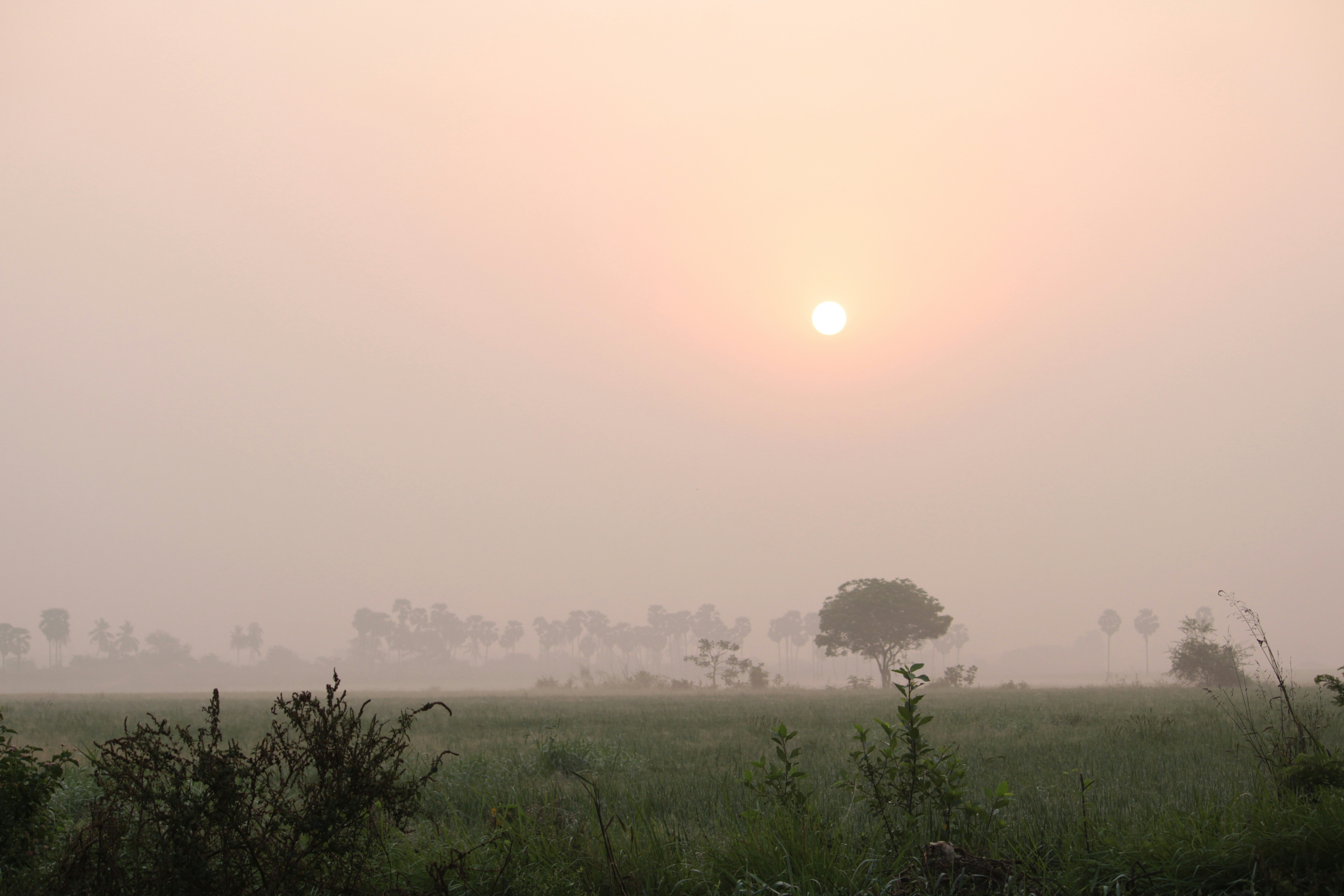 Photo by indianhobbyphotographer