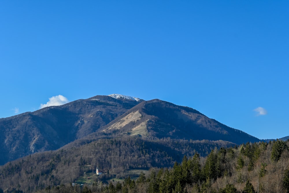 green trees on mountain under blue sky during daytime