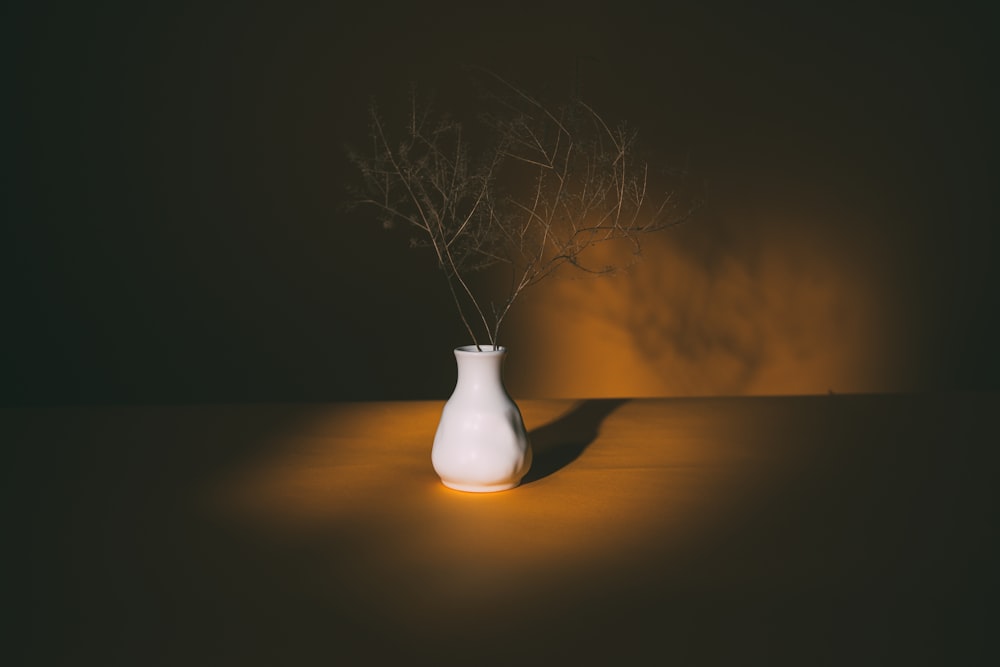 leafless tree in white ceramic vase