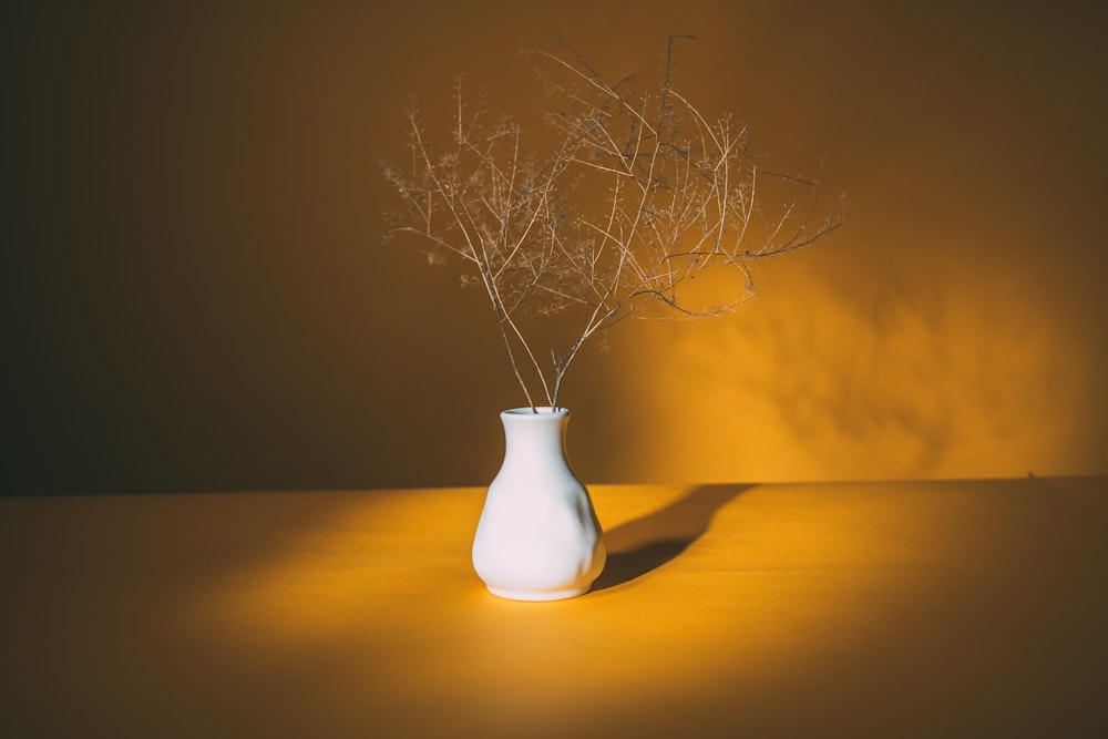 leafless tree in white ceramic vase