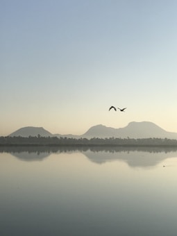 A serene lake scene with two birds gracefully flying across a clear sky. The calm water reflects distant mountains and trees, creating a peaceful mirror image. The soft gradient of dawn or dusk adds a gentle brightness to the scene.