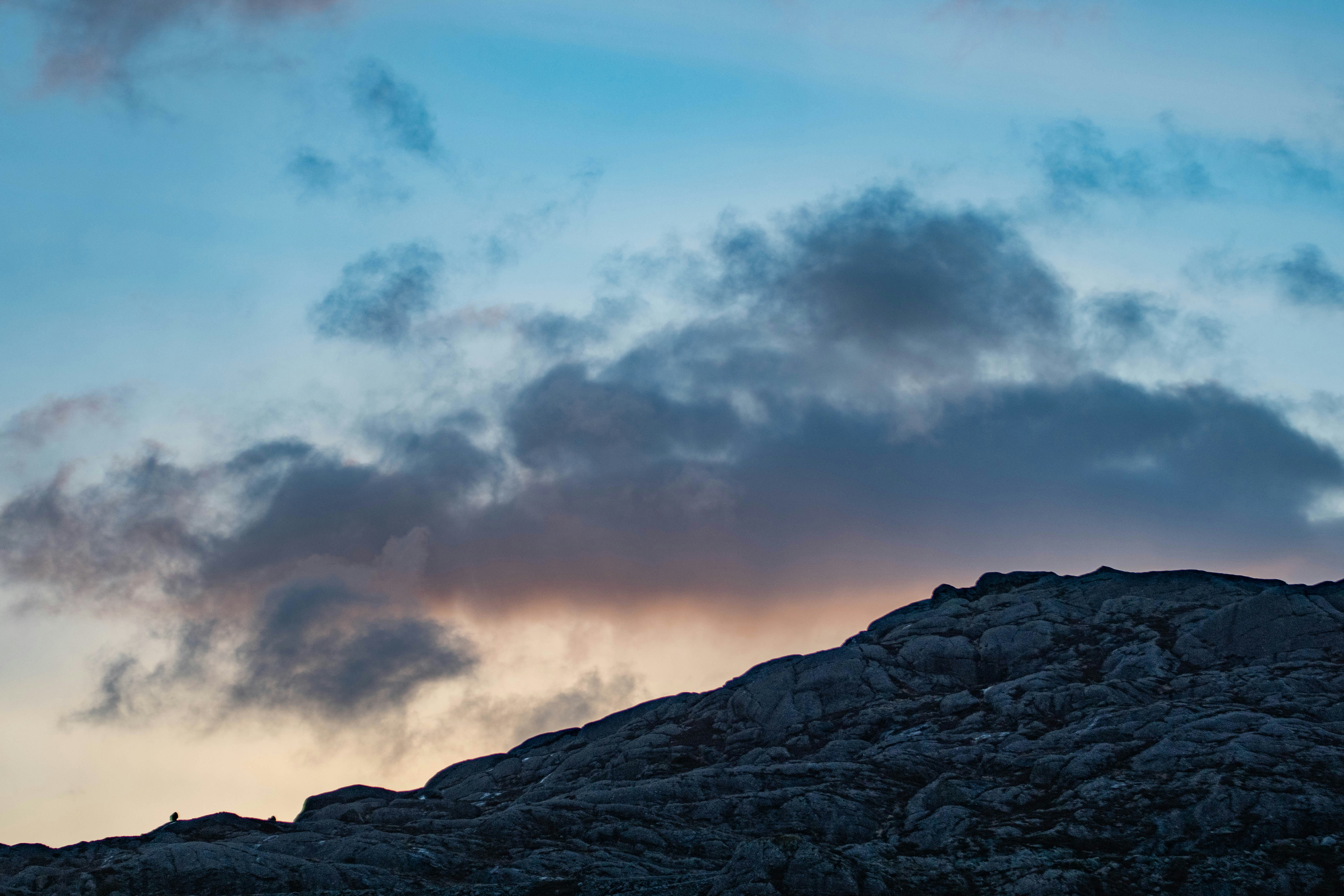 Photo by jn_photography