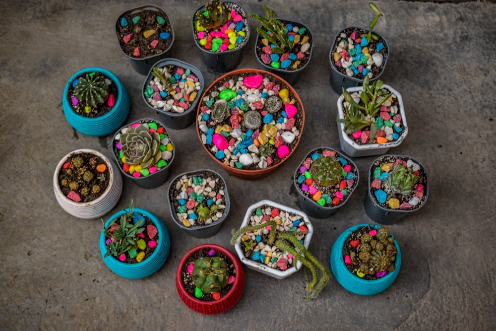 assorted color of candies on bowls