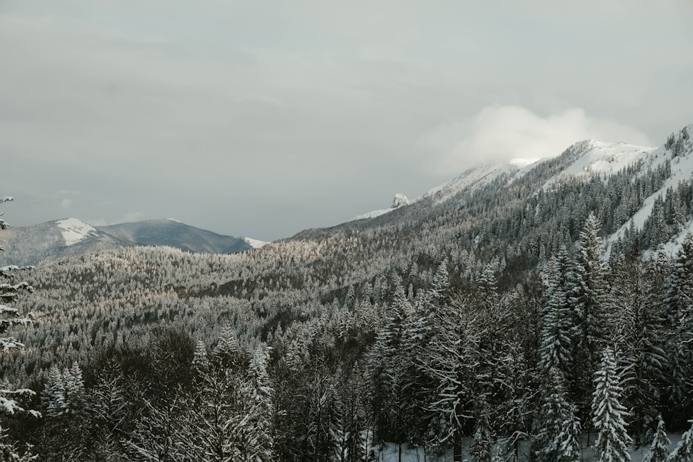 snow covered mountain during daytime