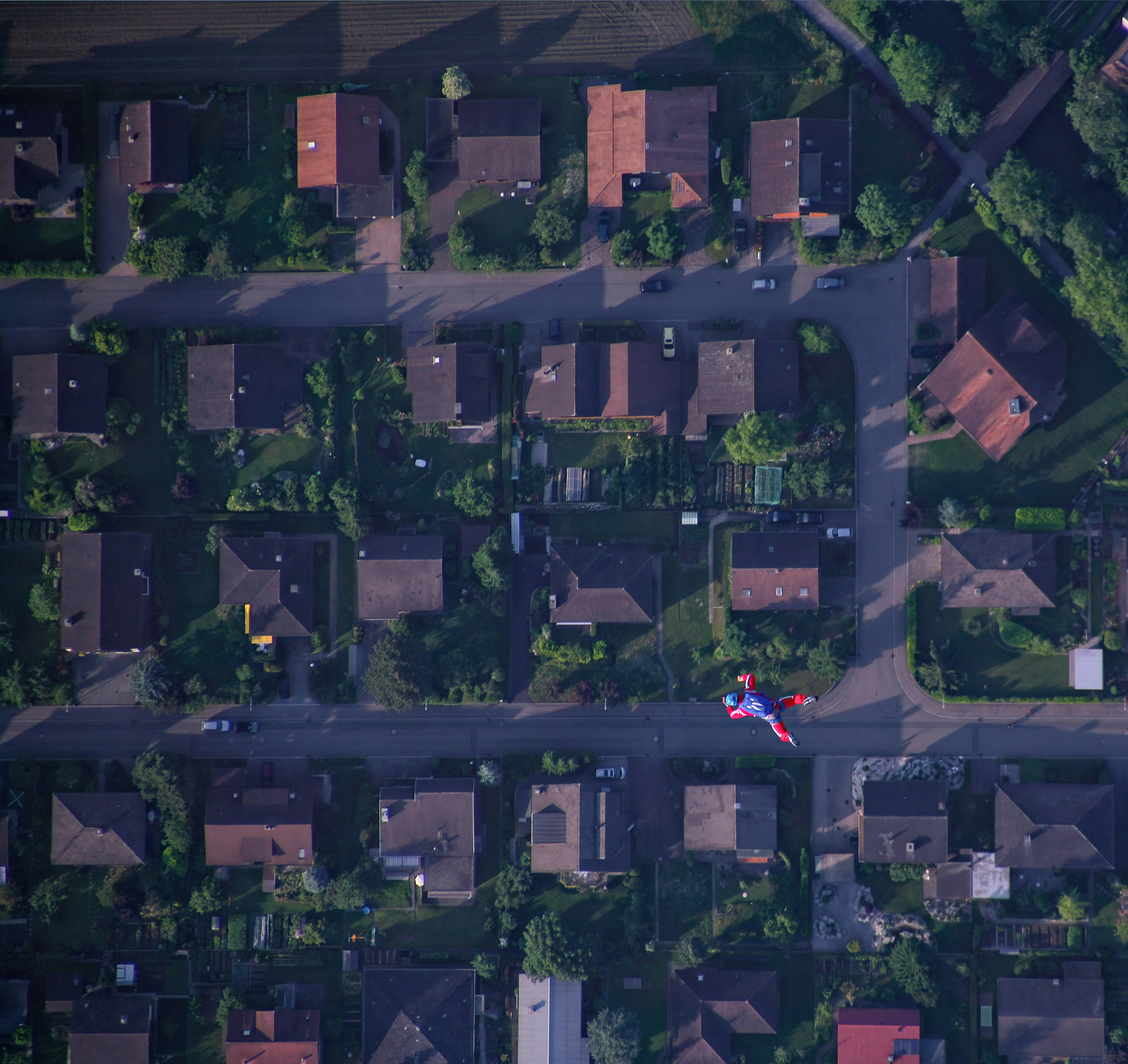 aerial view of green trees and houses