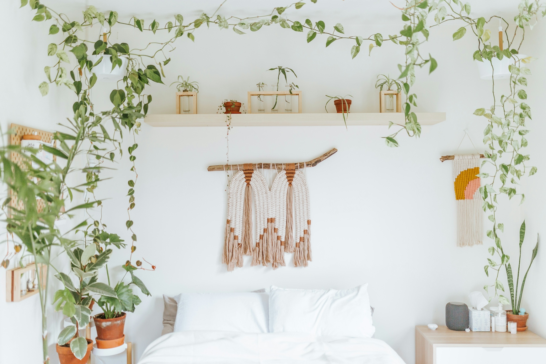 plant collection how to decorate bedroom with plants