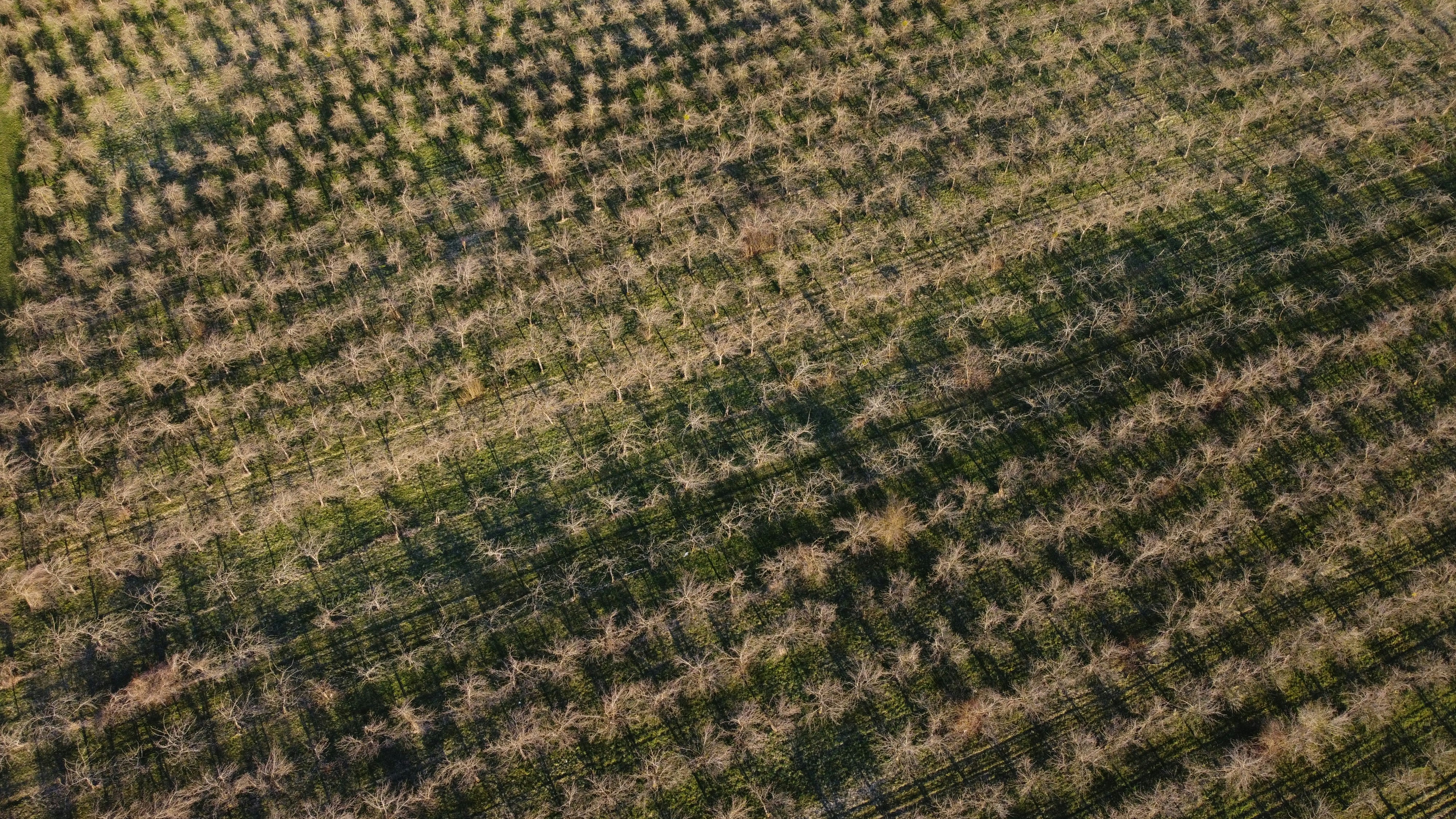 Photo by felix111984