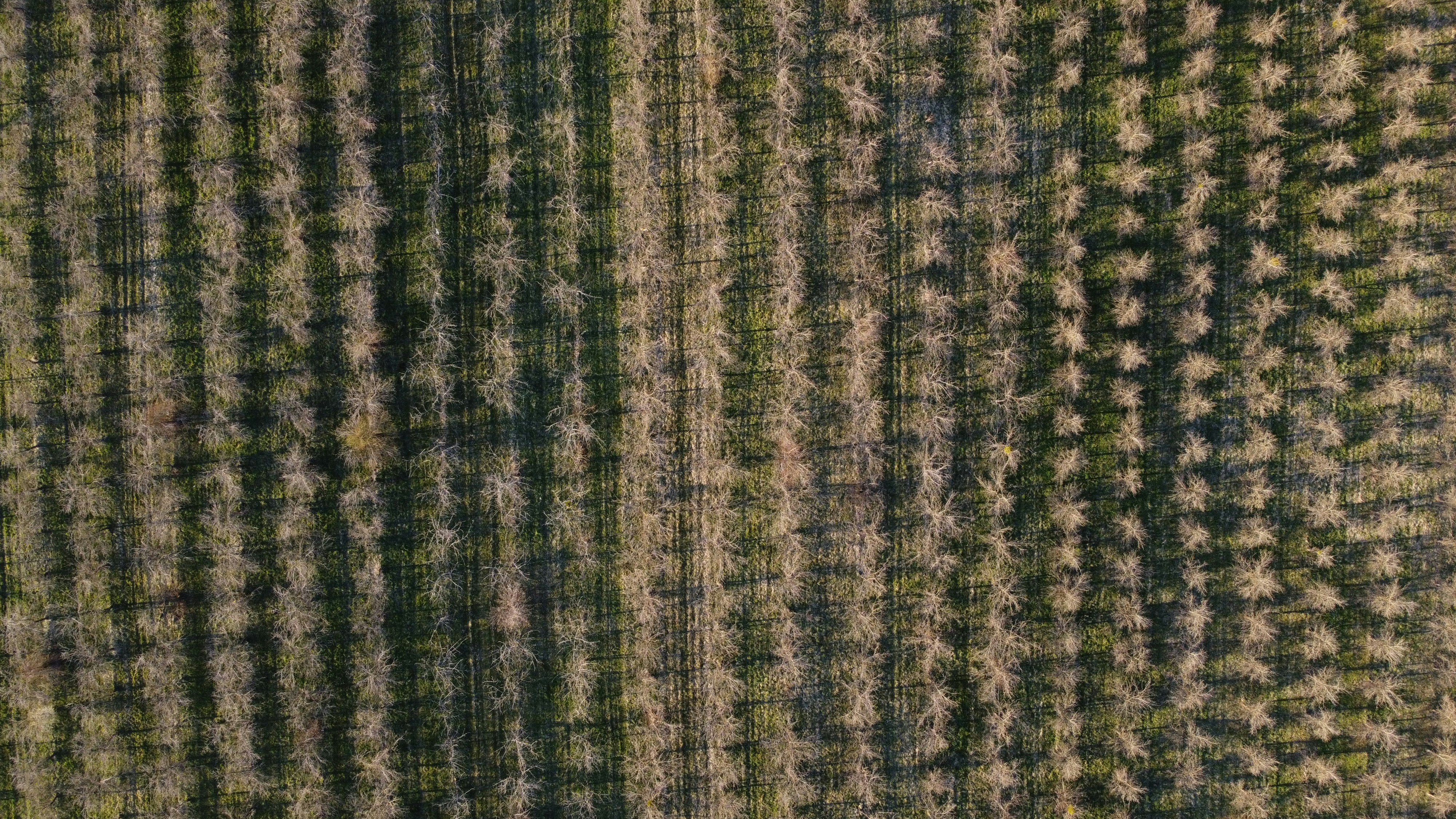 Photo by felix111984