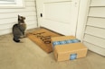 brown tabby cat on brown cardboard box
