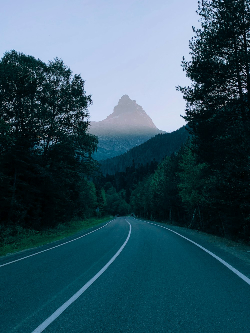 gray concrete road between green trees during daytime