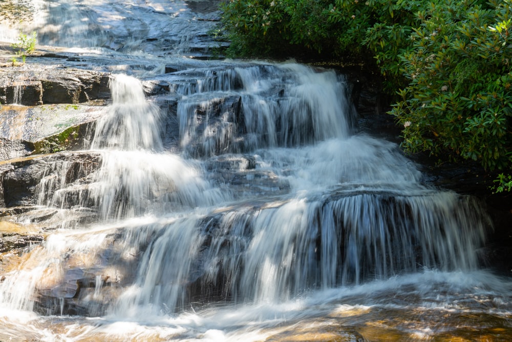 water falls in the middle of green trees