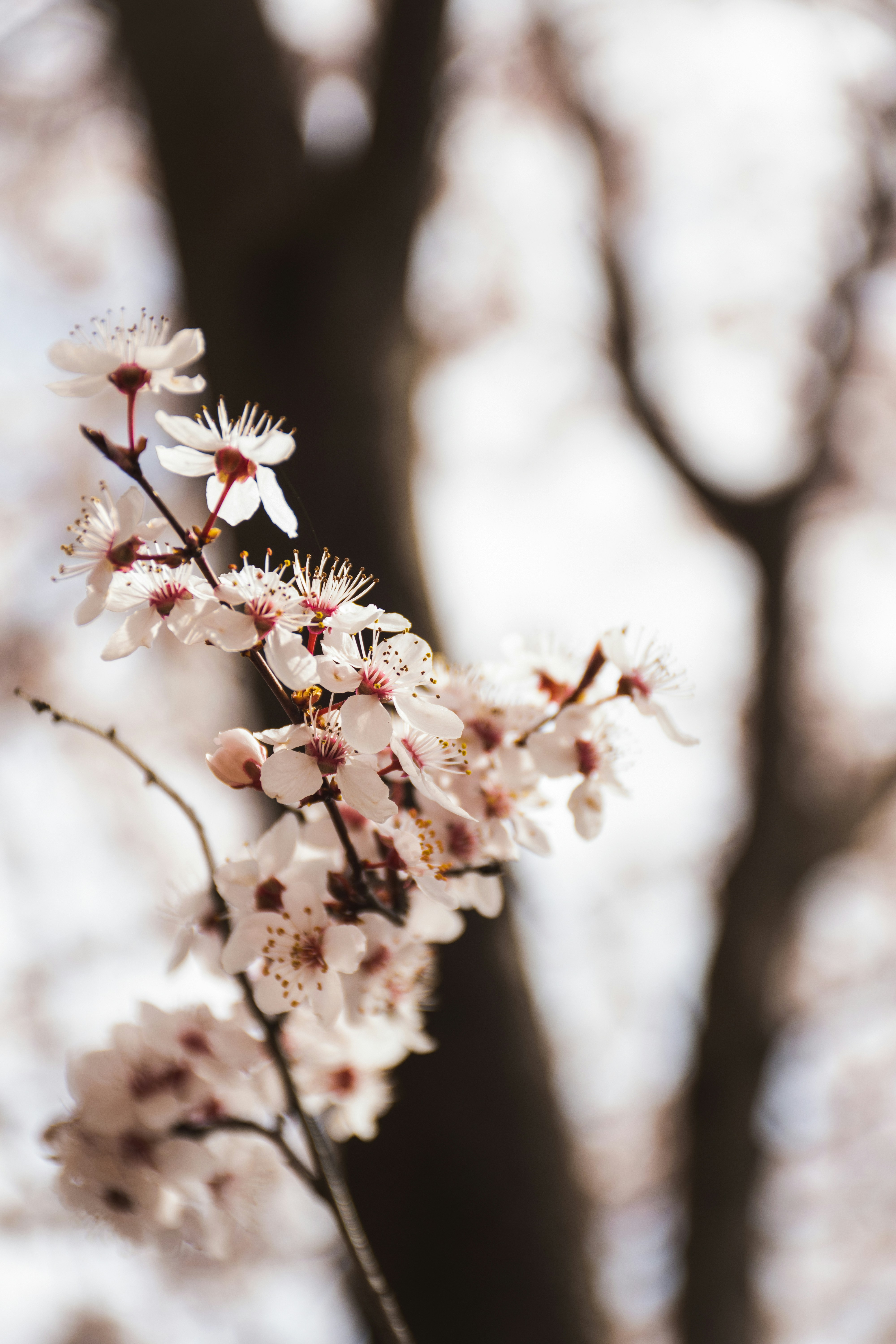 Photo by anajovanovski