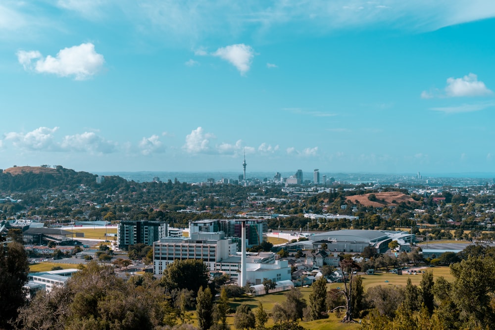 city buildings under blue sky during daytime