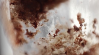 Blurry and abstract close-up of mold or fungus with irregular shapes and varying textures. The image is dominated by a combination of brown, beige, and white tones, creating a natural and organic appearance.