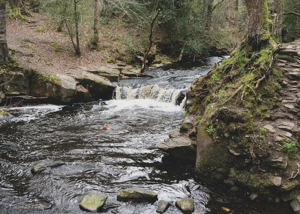 rivière au milieu des rochers