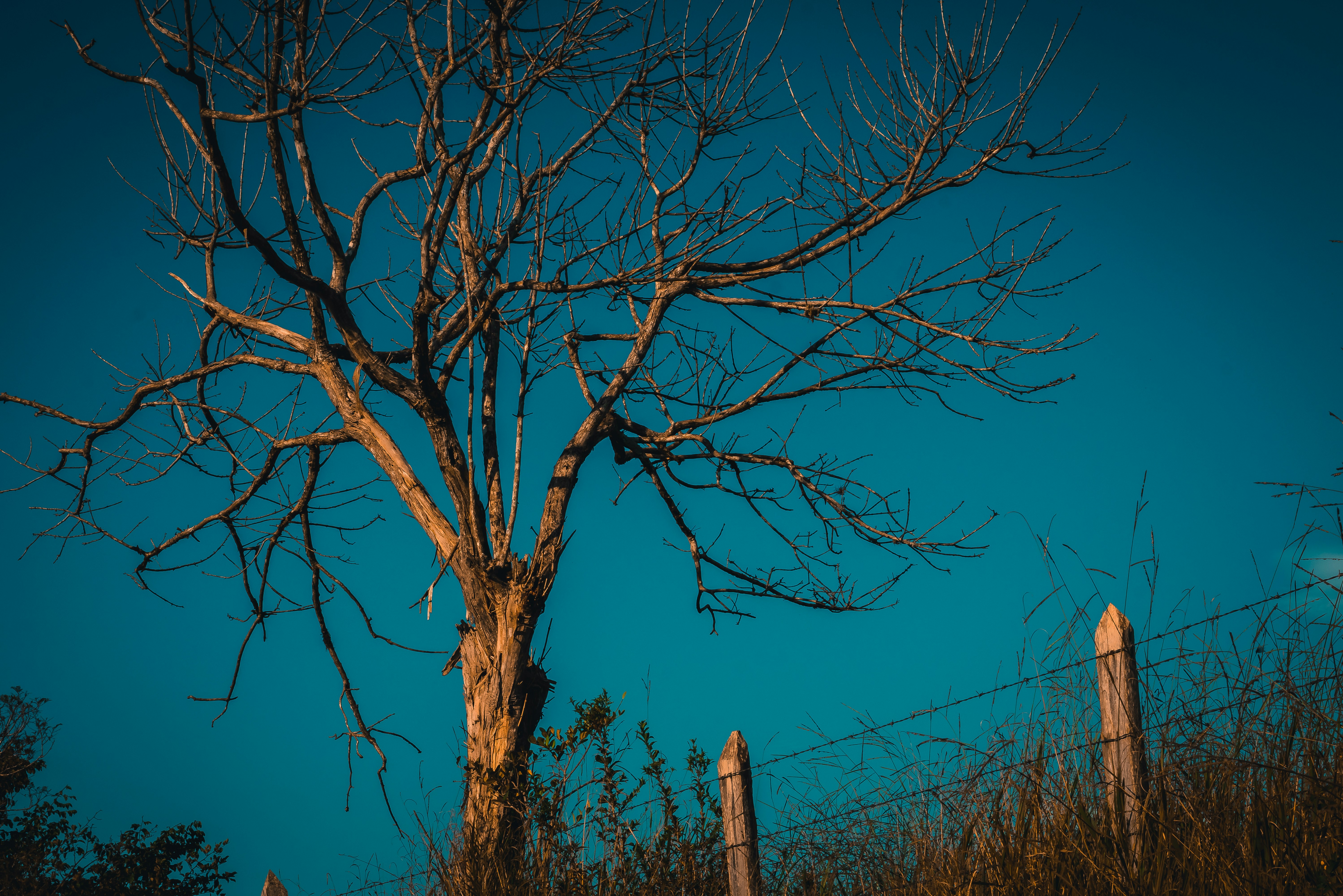 Photo by racontocreative